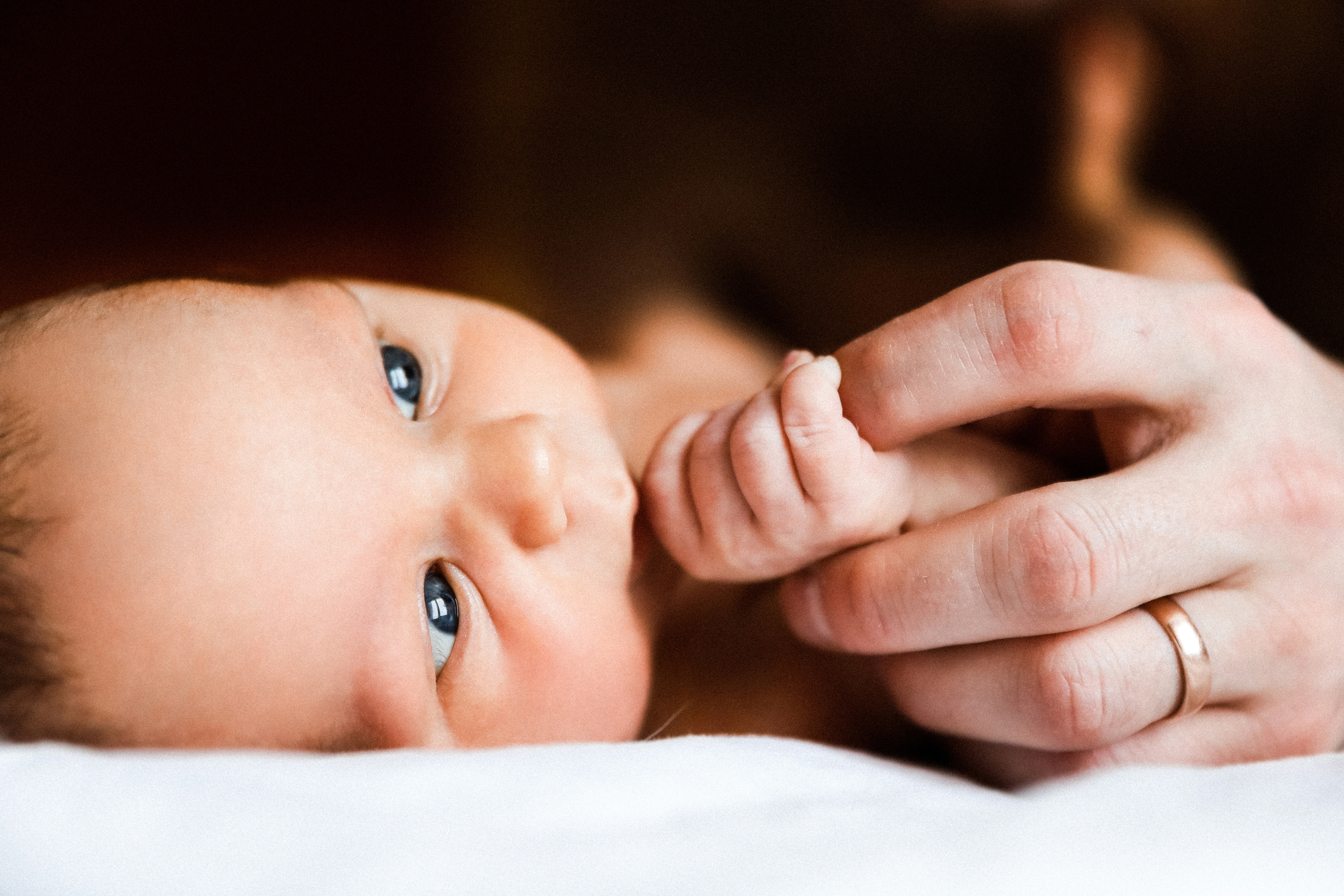 Маша Миша Макс. Свадебный и семейный Фотограф Денис Кошель