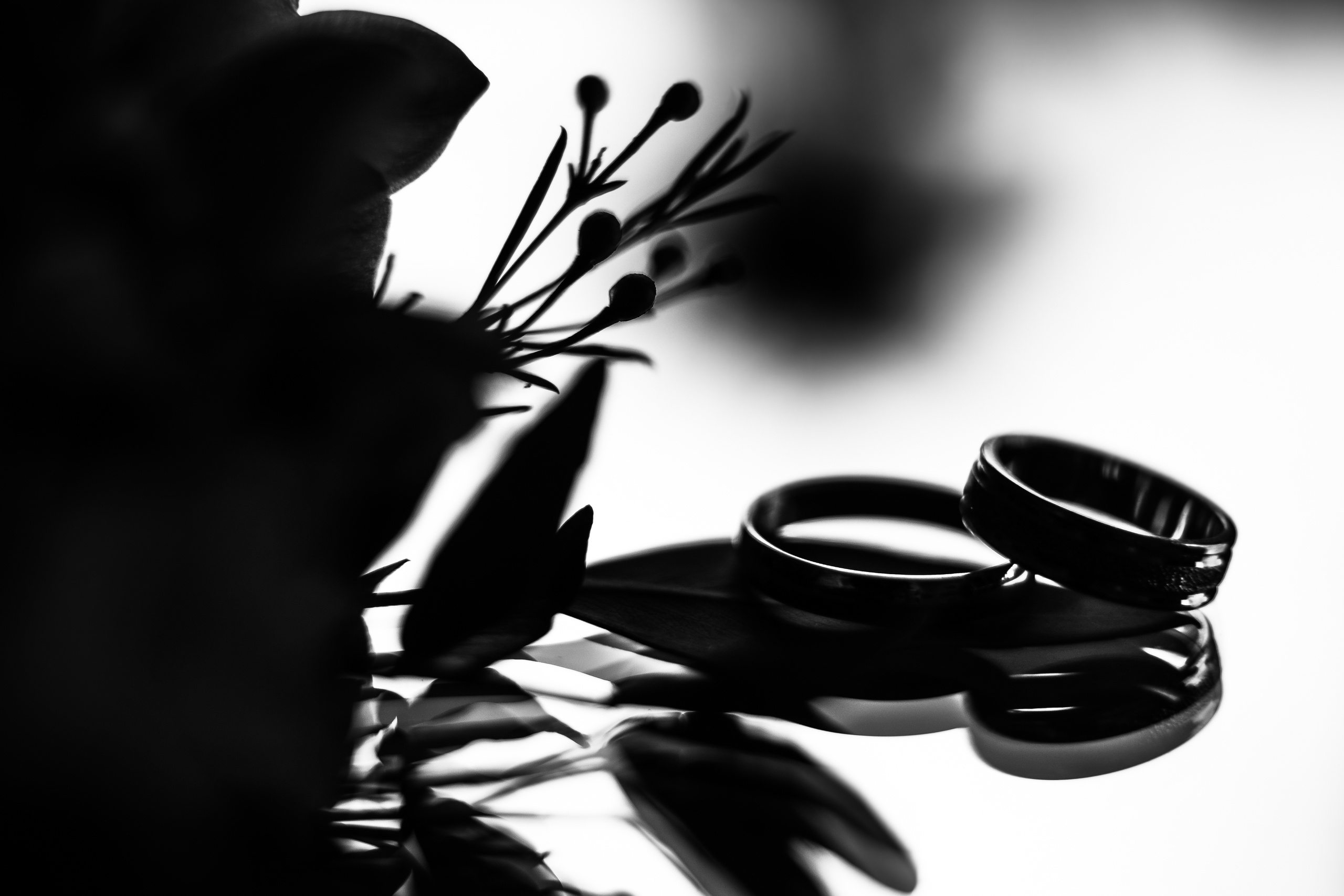 Яна и женя-2017. Свадебный и семейный Фотограф Денис Кошель