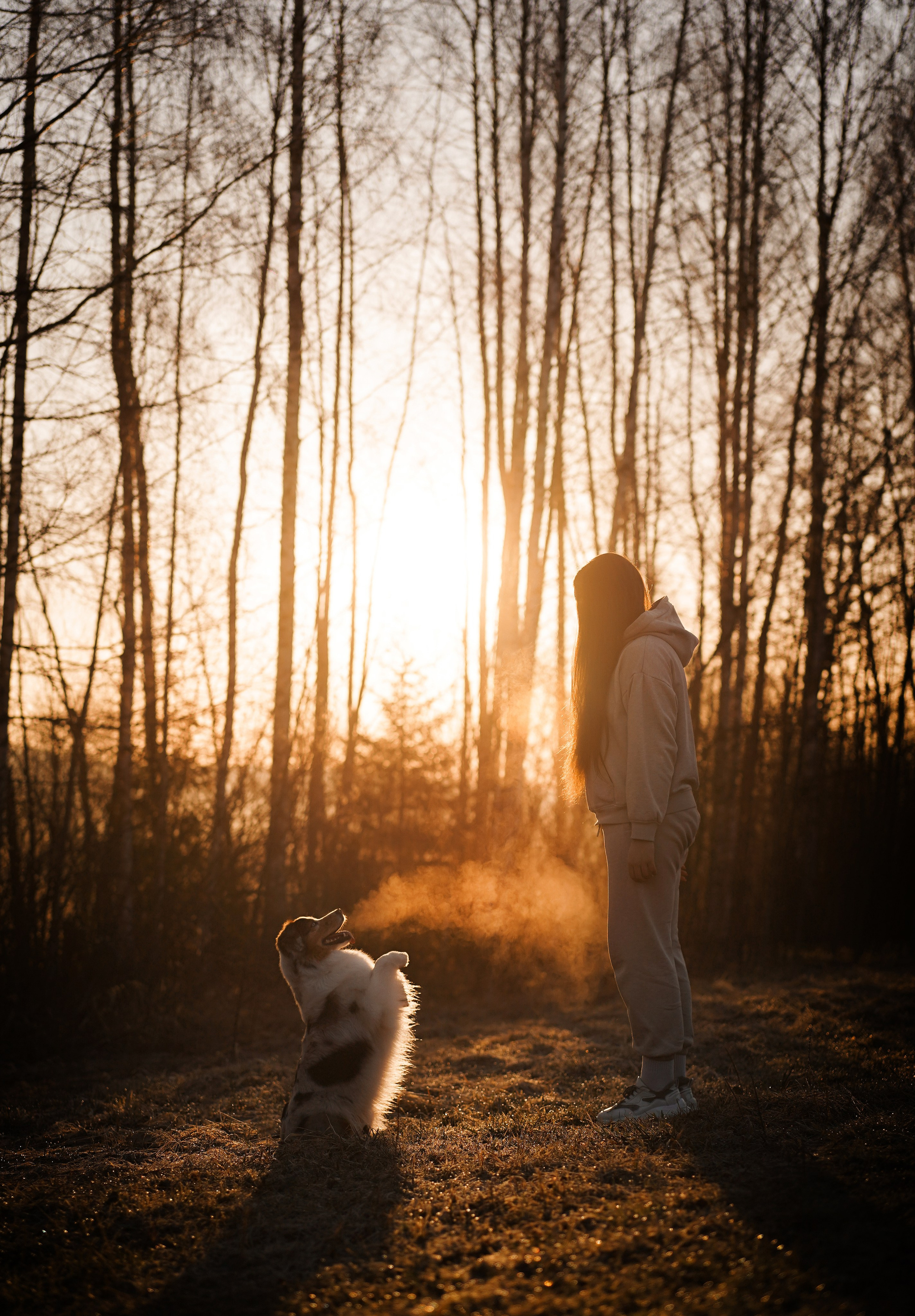 Кристина Рокки и Валькирия. Фотограф-анималист в Санкт-Петербурге Яна Мартынова