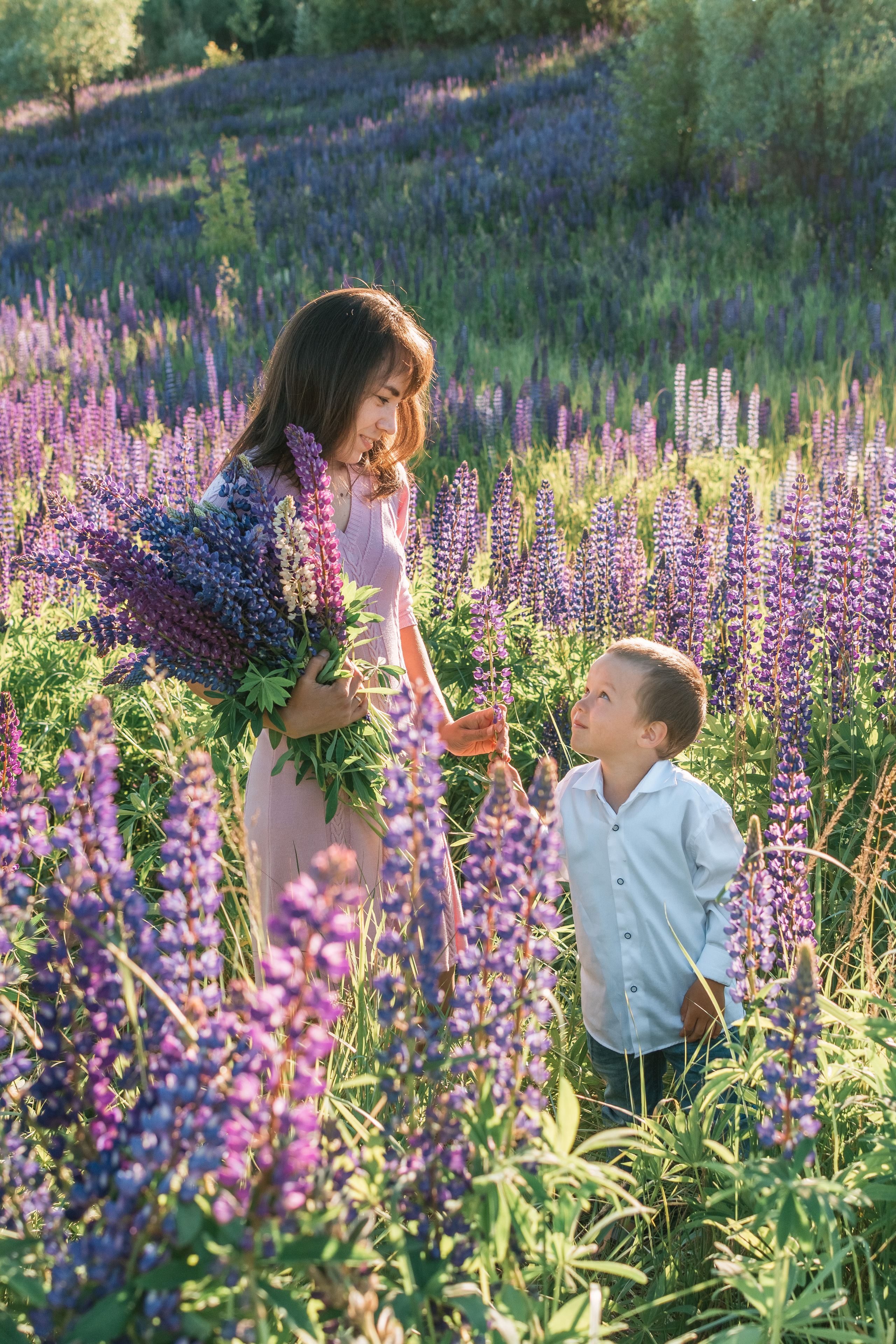 Фотосессия в люпинах. Семейный Фотограф в Москве Евгения Симоненко