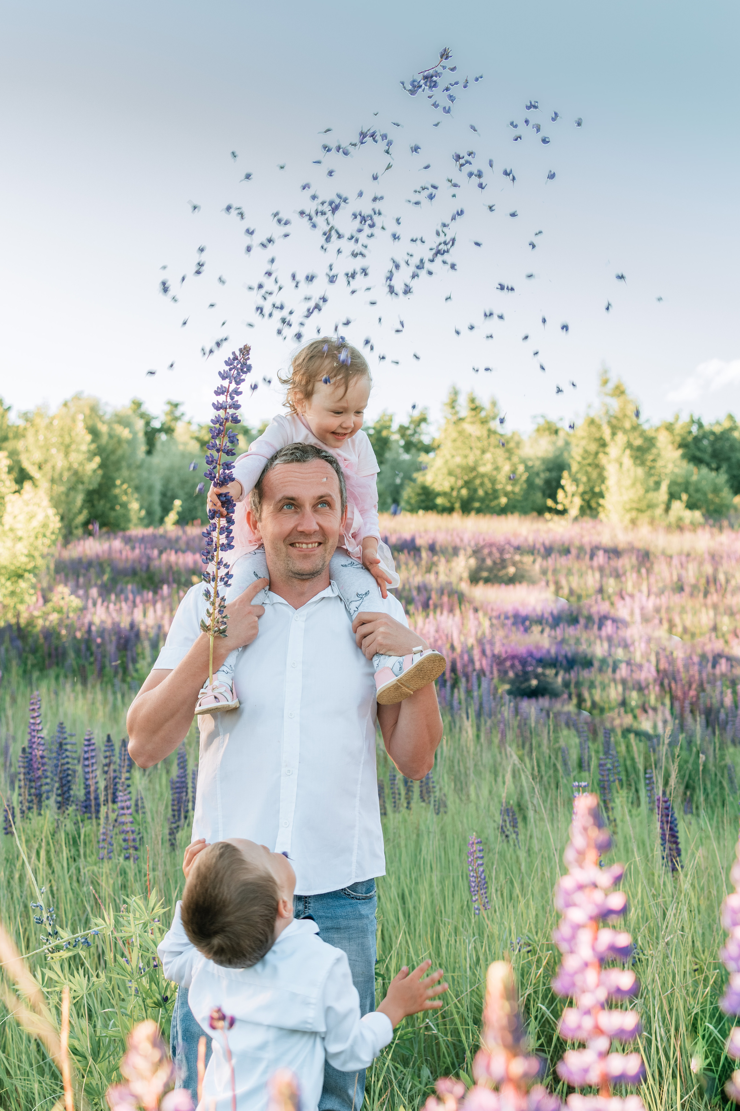 салют из люпиновых лепестков