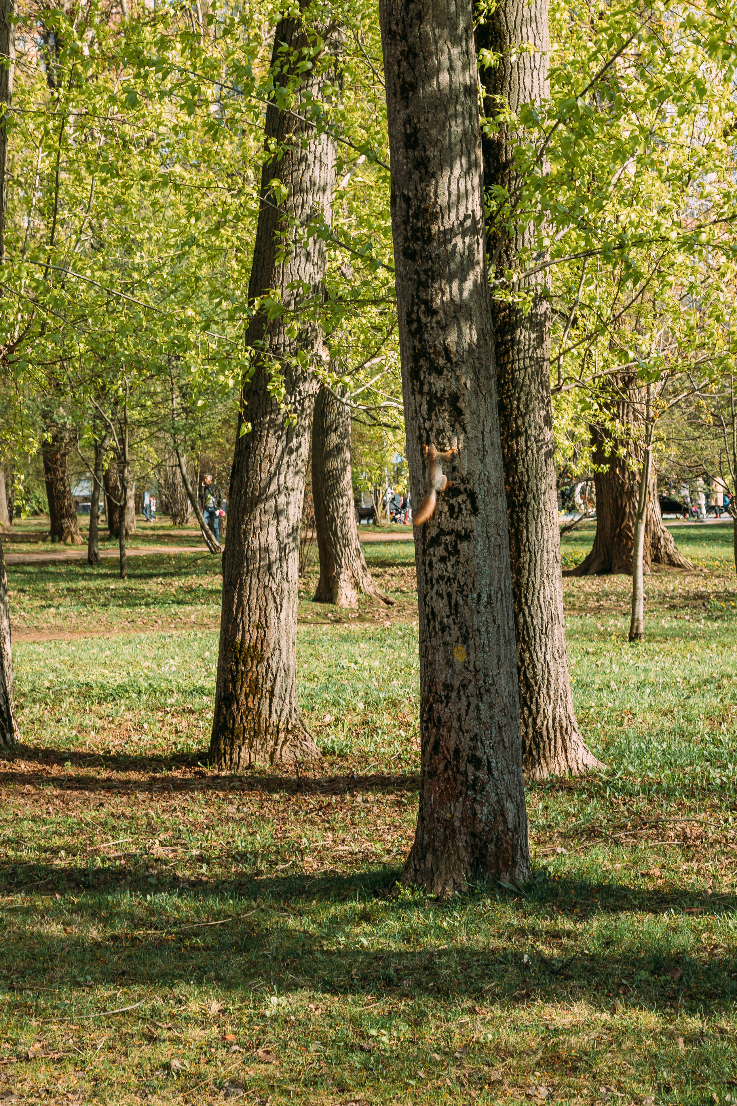 Фотопрогулка в Воронцовском парке