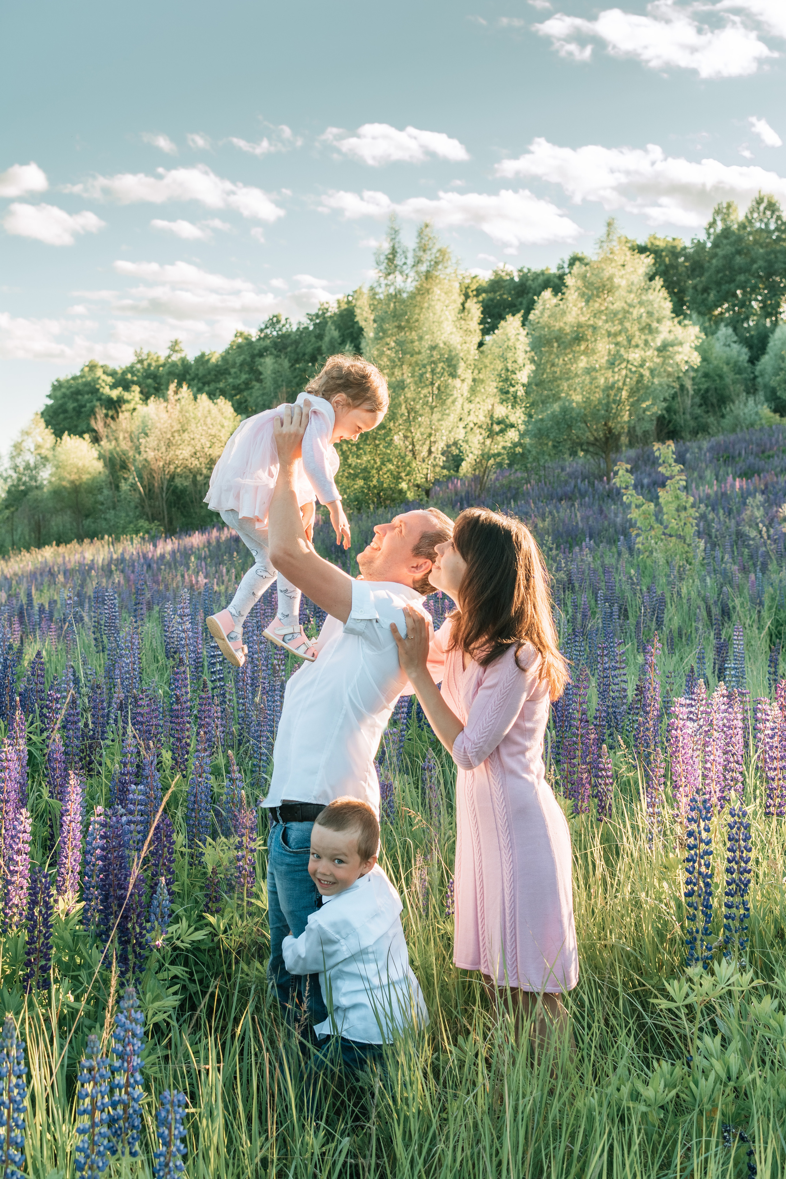 семейная съемка в люпиновых полях