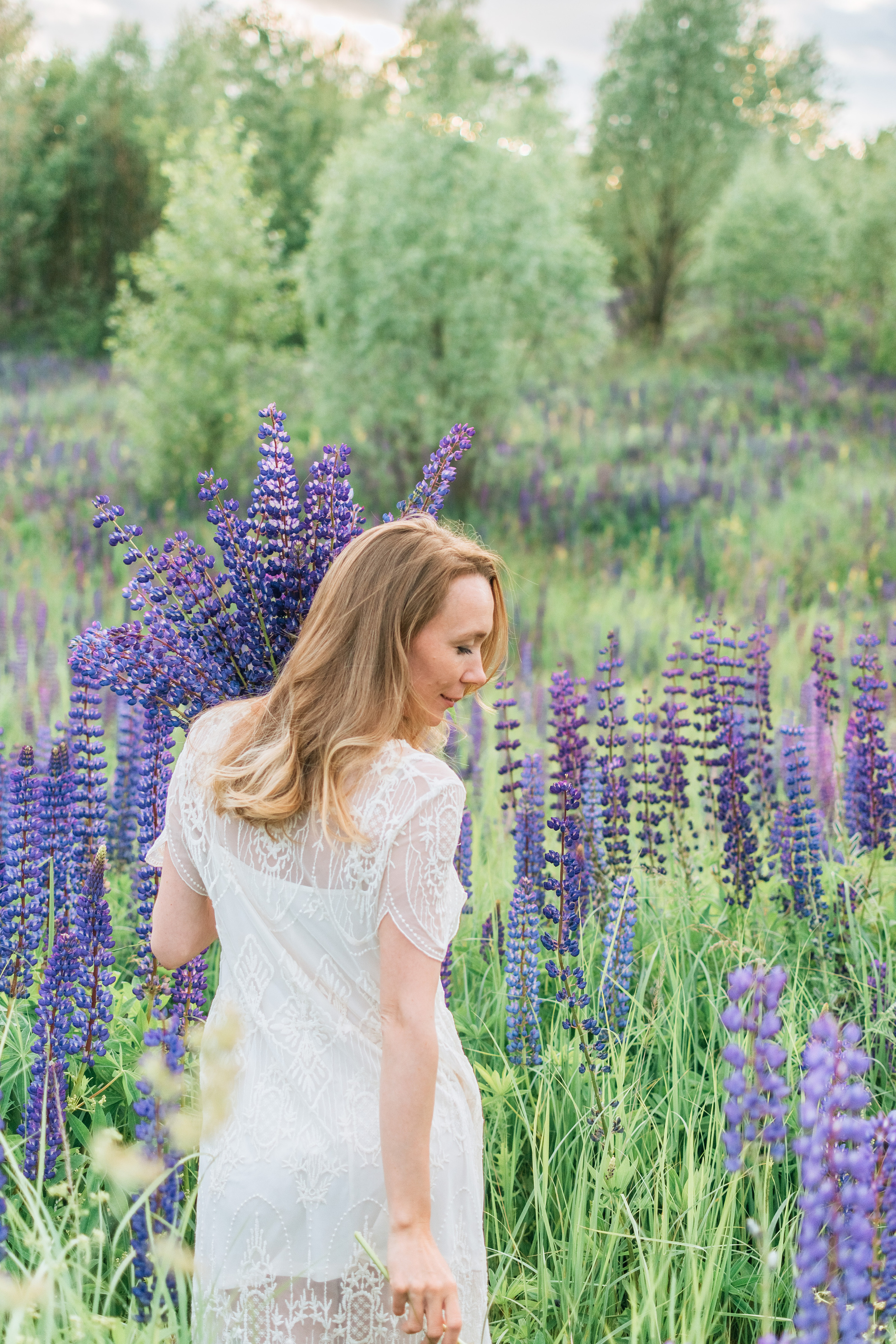 Индивидуальная фотосессия в люпиновых полях