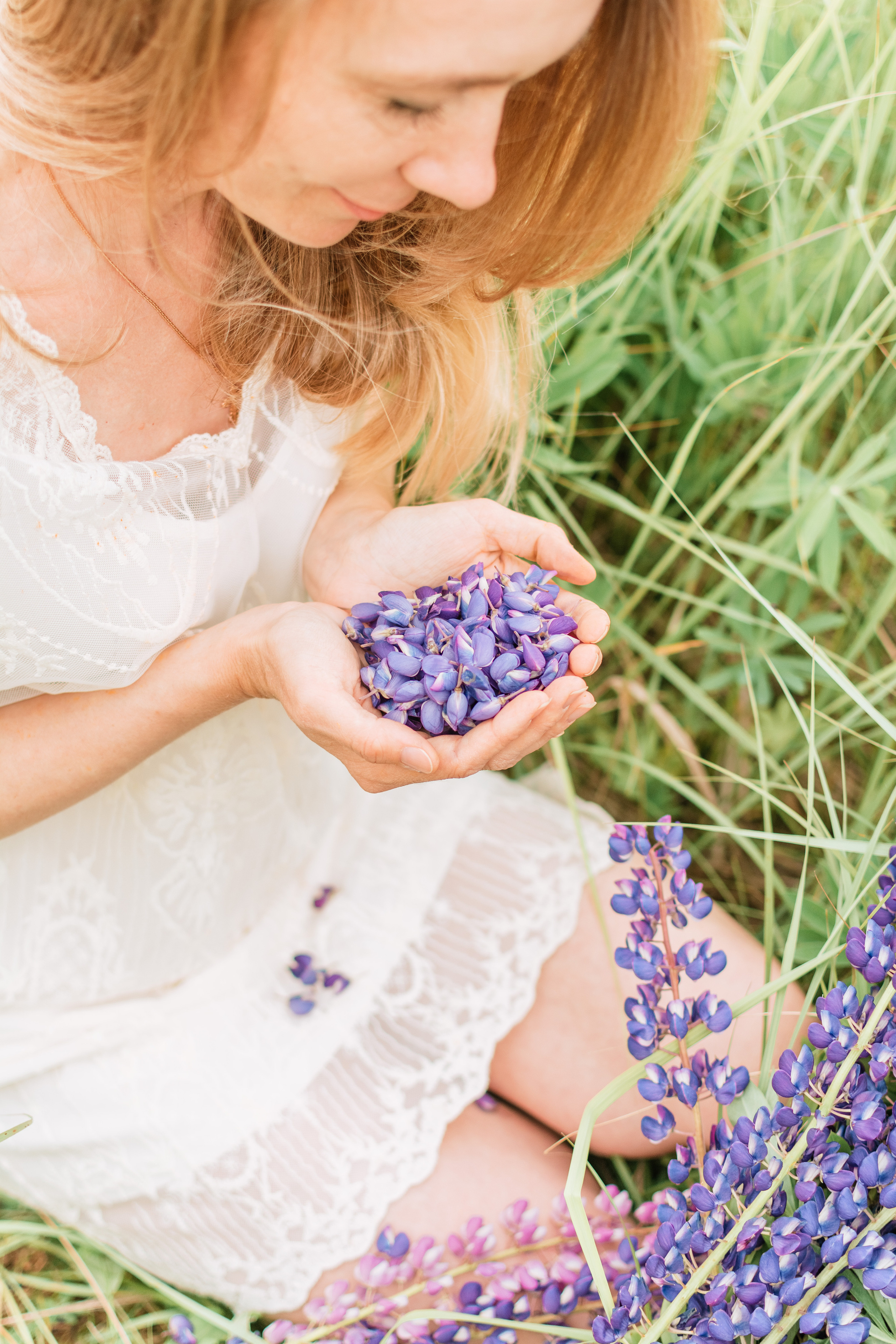 Индивидуальная фотосессия в люпиновых полях