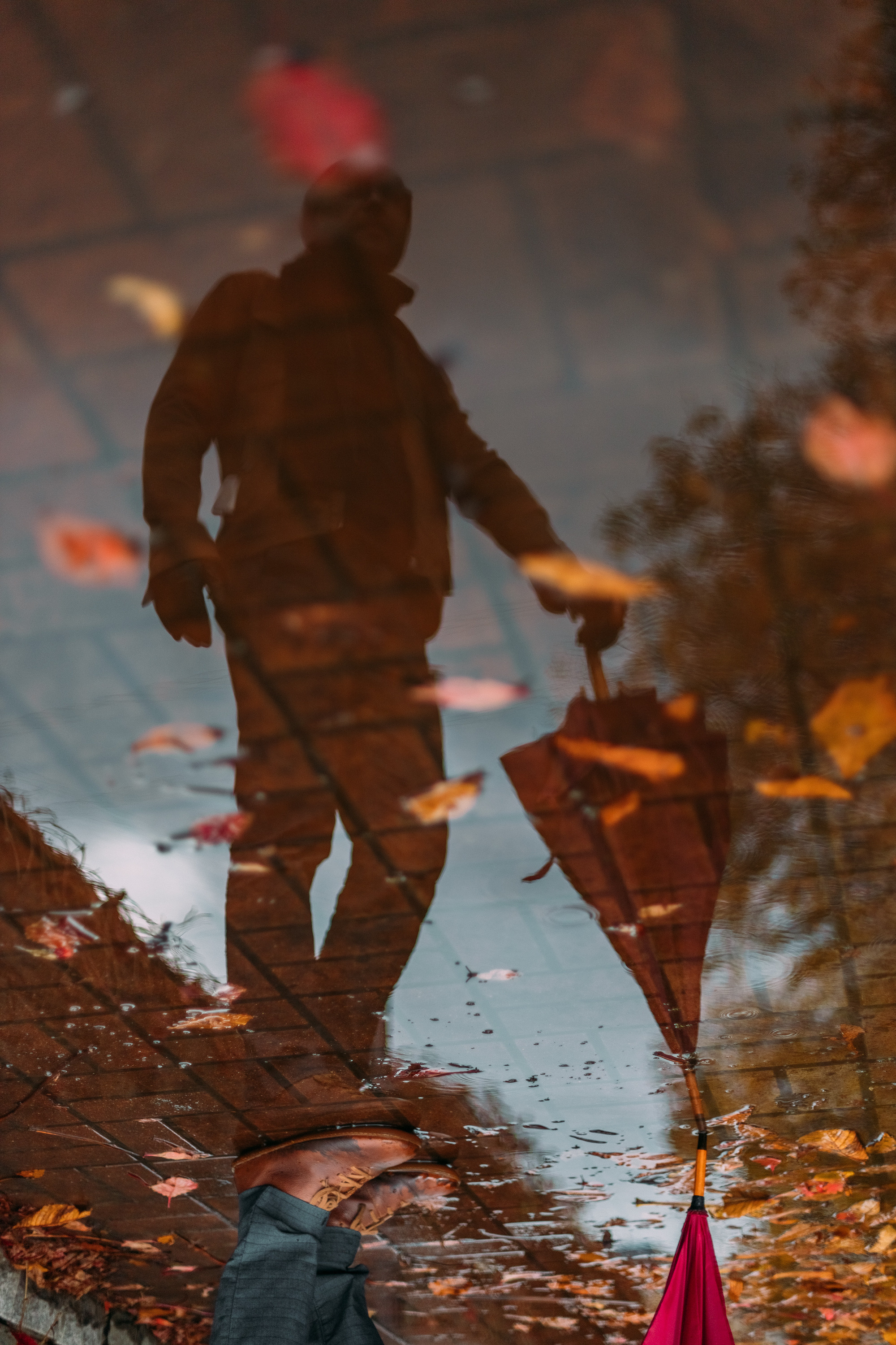 Василий. Семейный Фотограф в Москве Евгения Симоненко