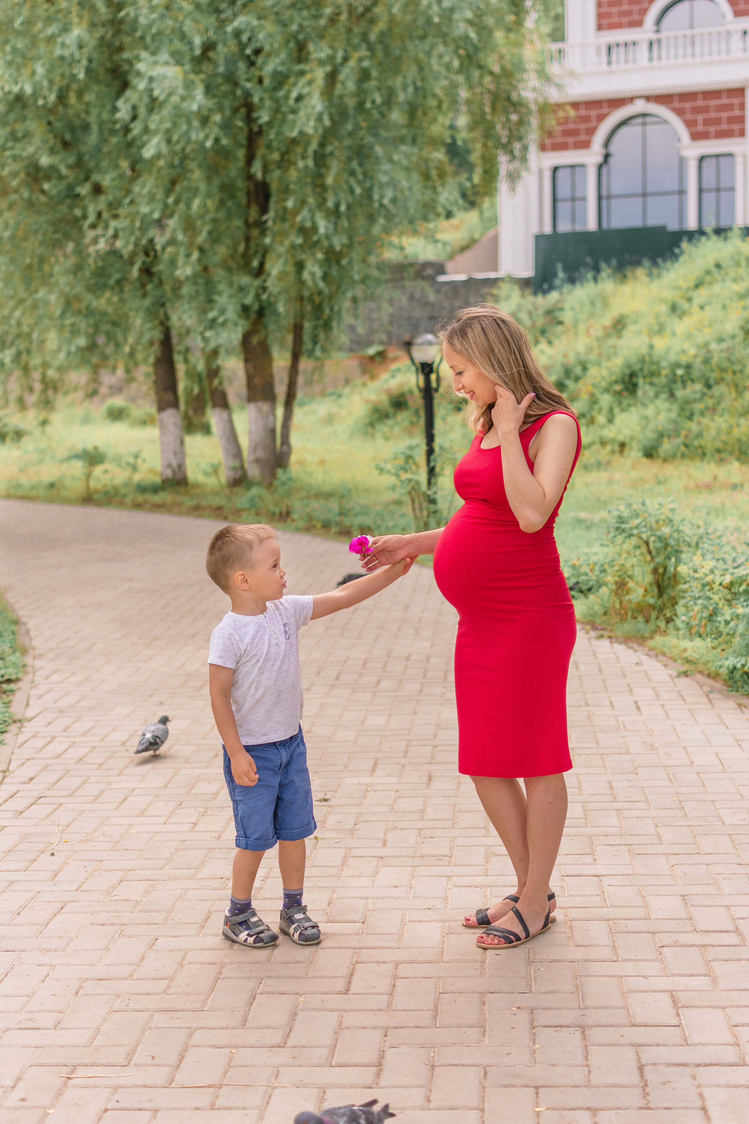сын дарит маме полевые цветы