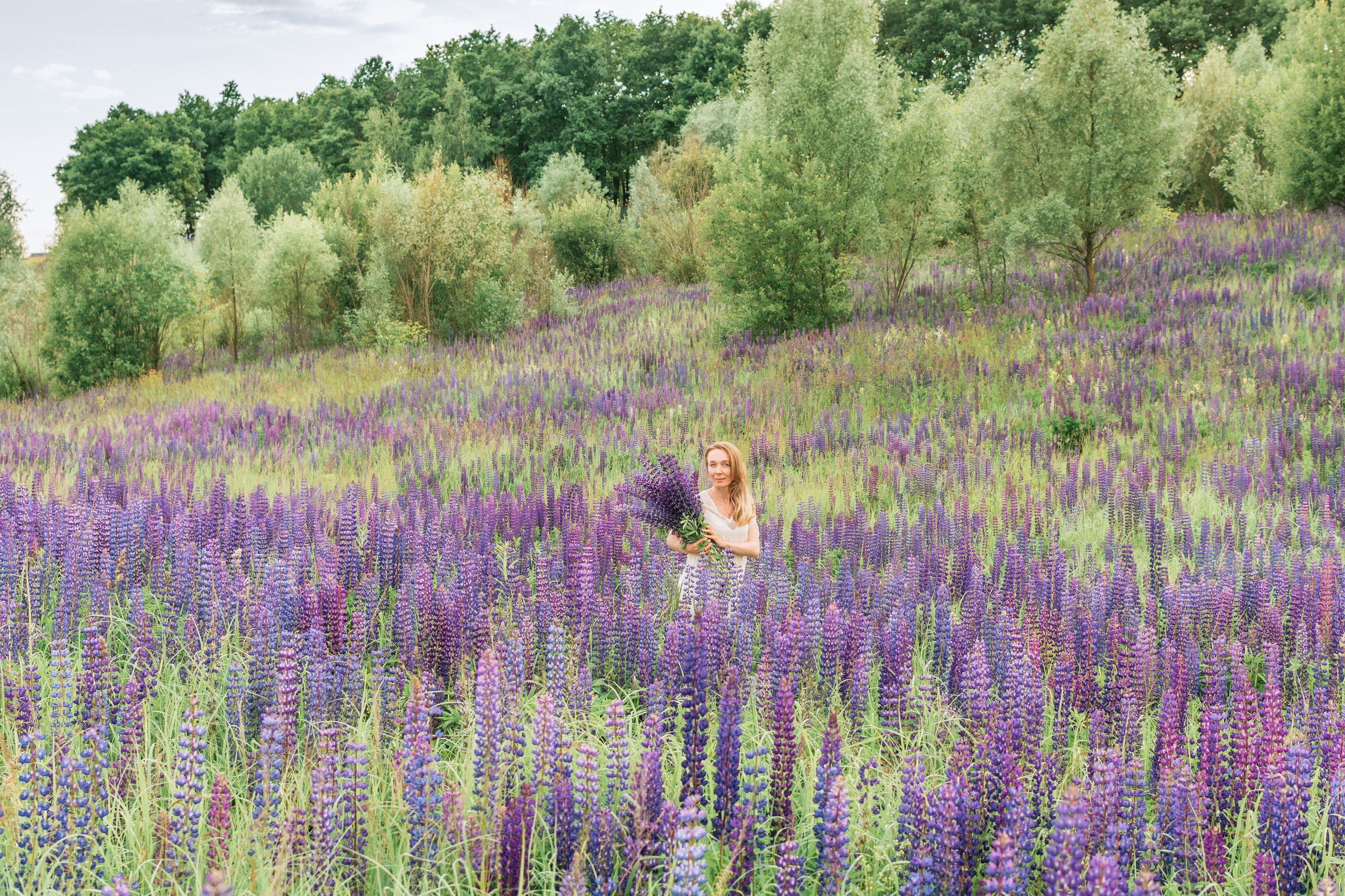 Индивидуальная фотосессия в люпиновых полях