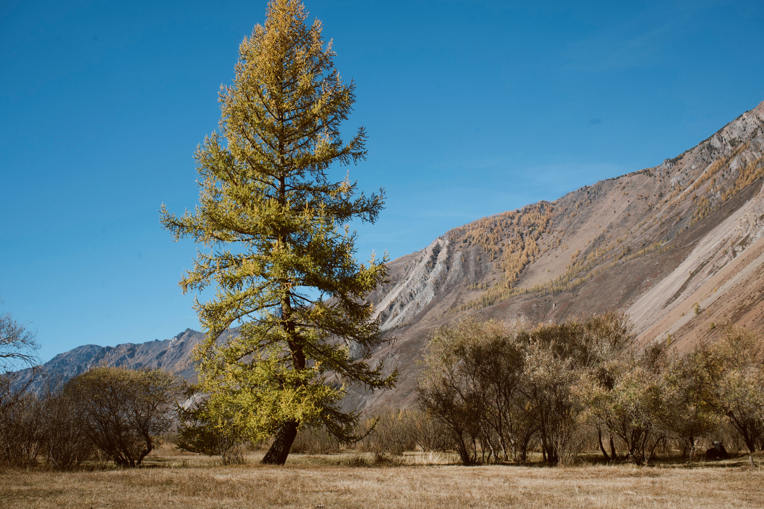 Фотограф | Рилсмейкер