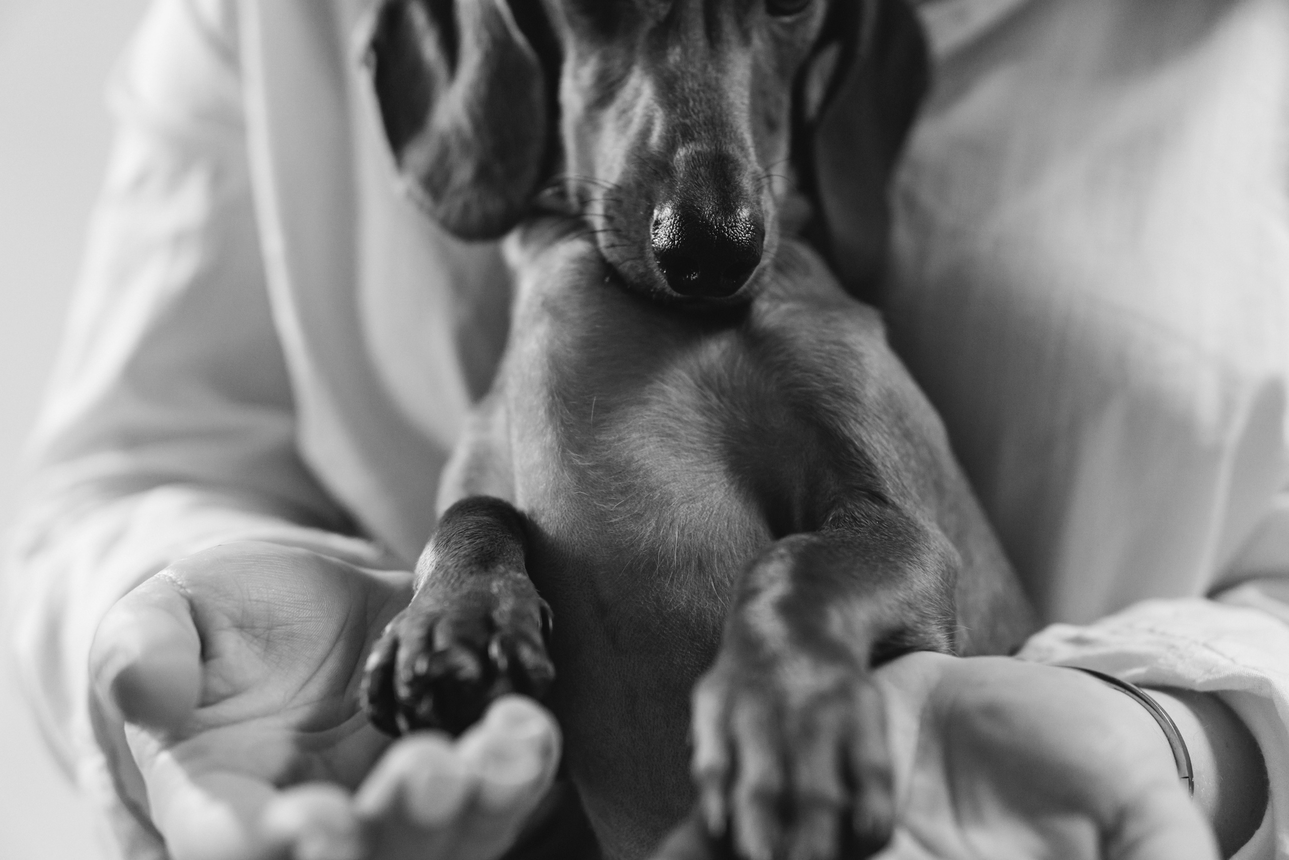 Анна и Сальвадор. Фотограф в Москве Юлия Першина