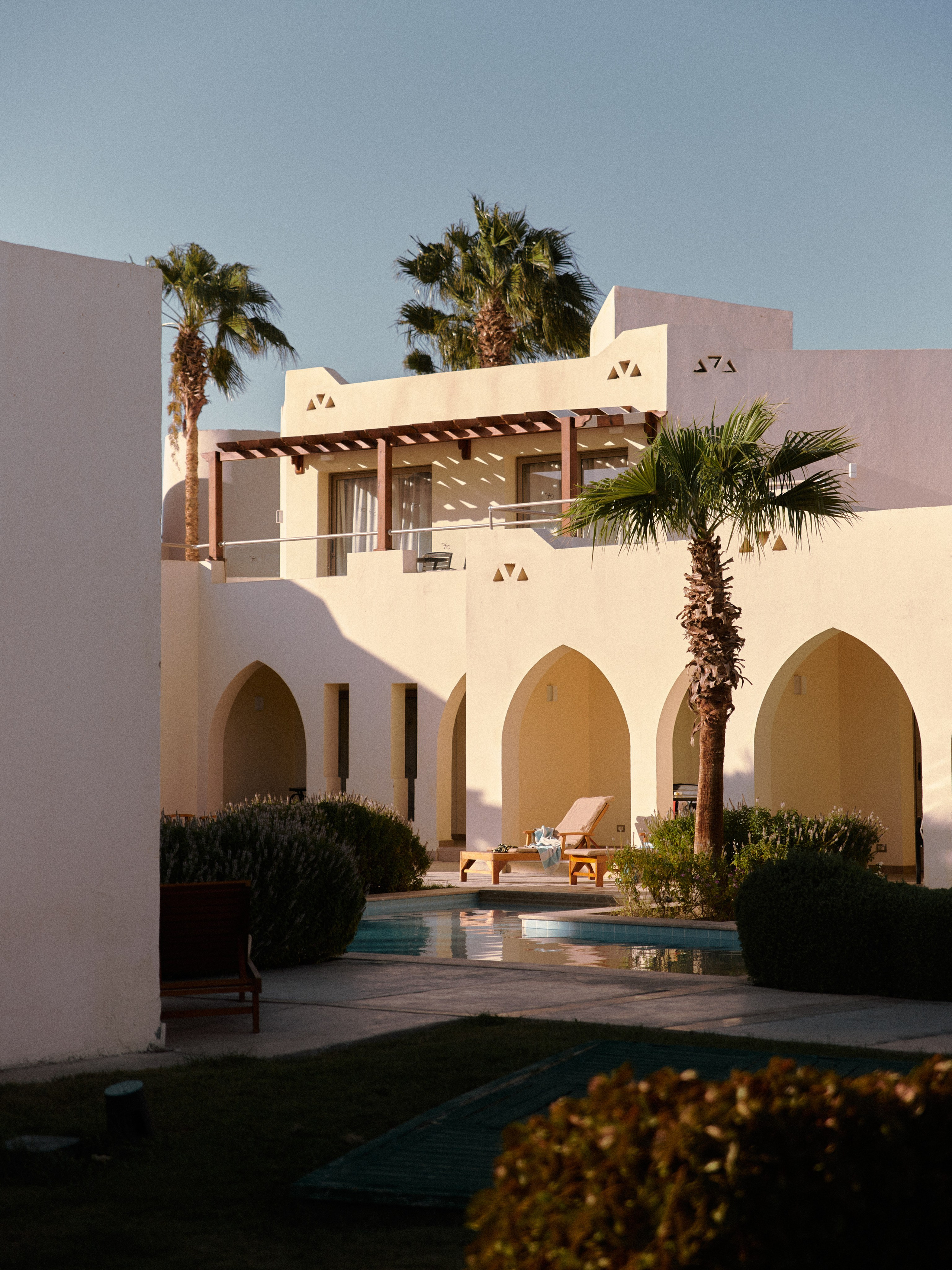 Природа сквозь. Jorgis Talè — photographer, kind person, teacher of arts and other mag