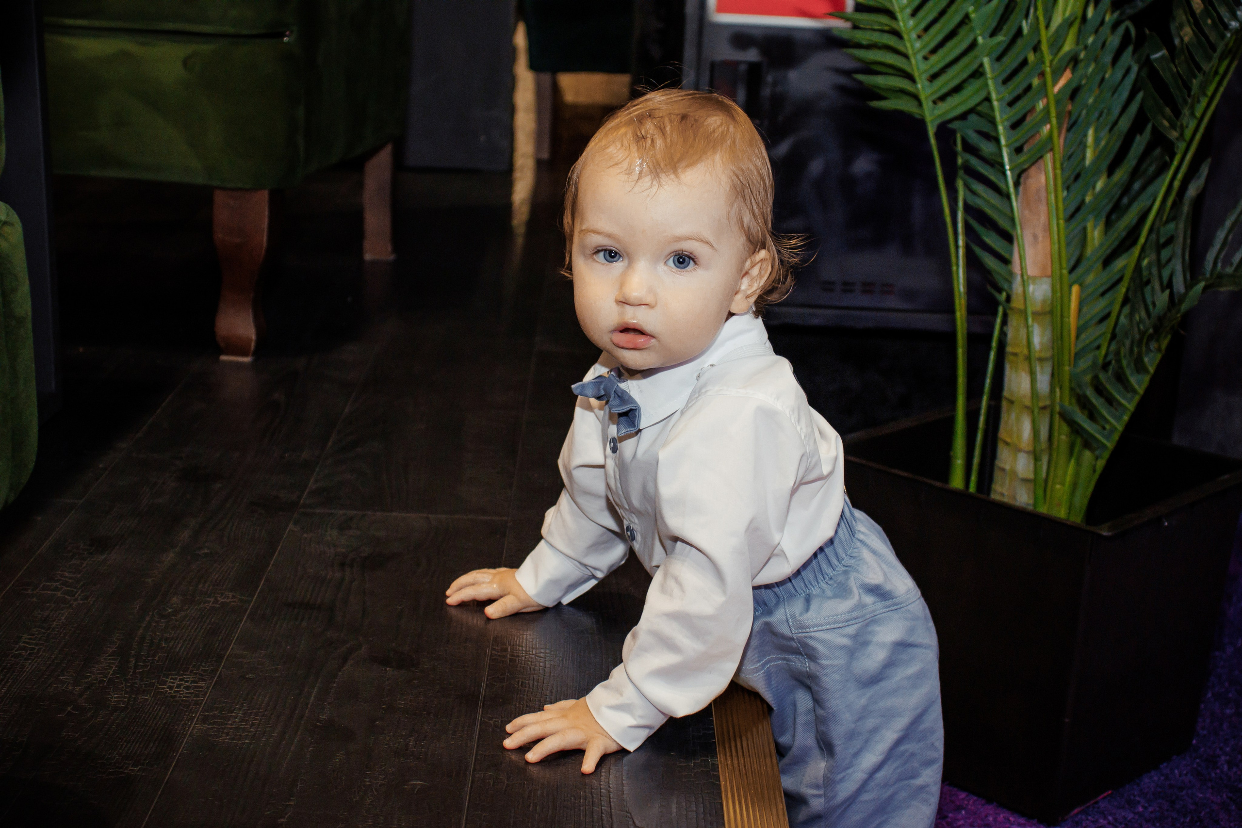 Марк 1 годик. Диана фотограф в Краснодаре