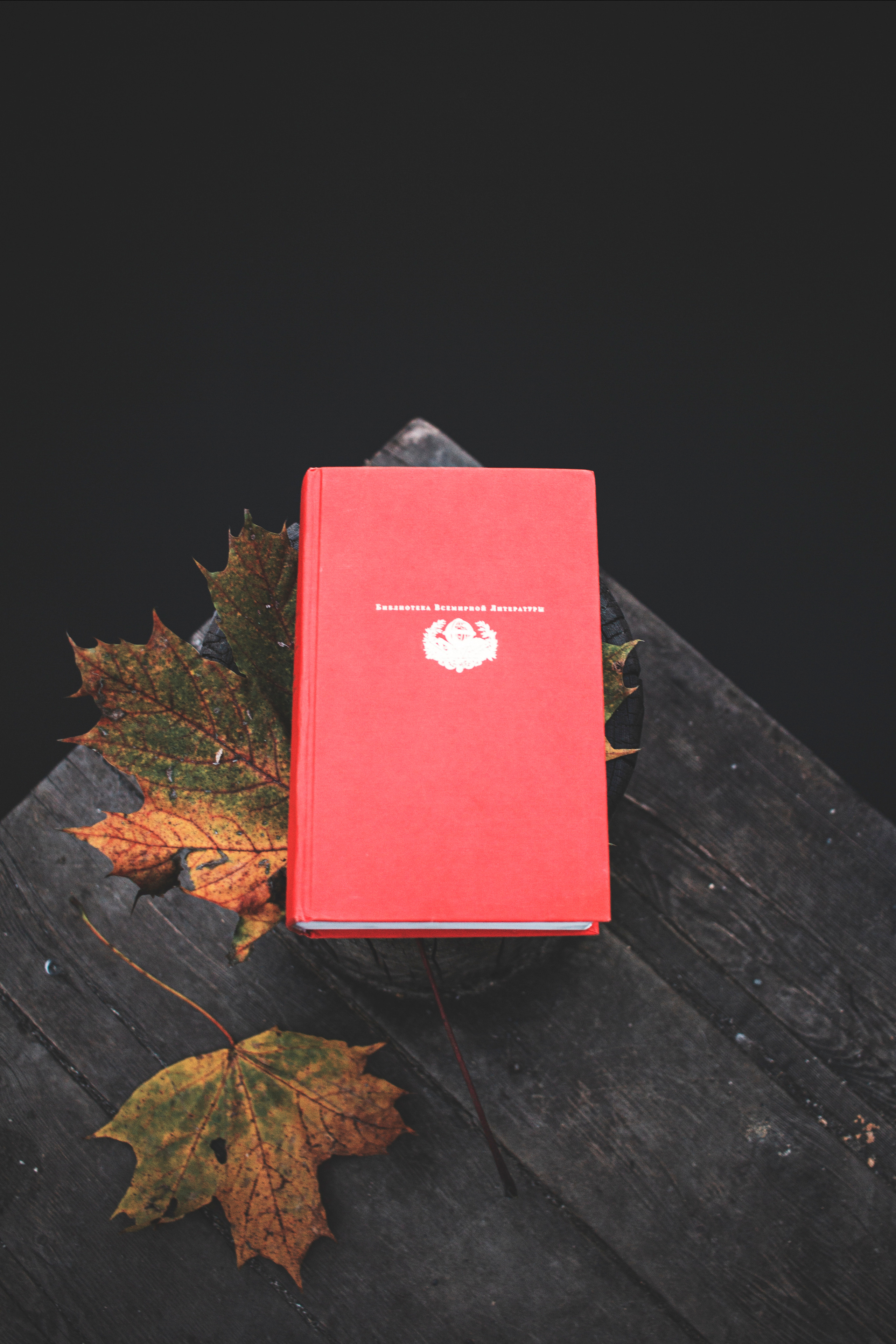 Фотограф Москва. Свадебный фотограф Мария Железняк в Москве