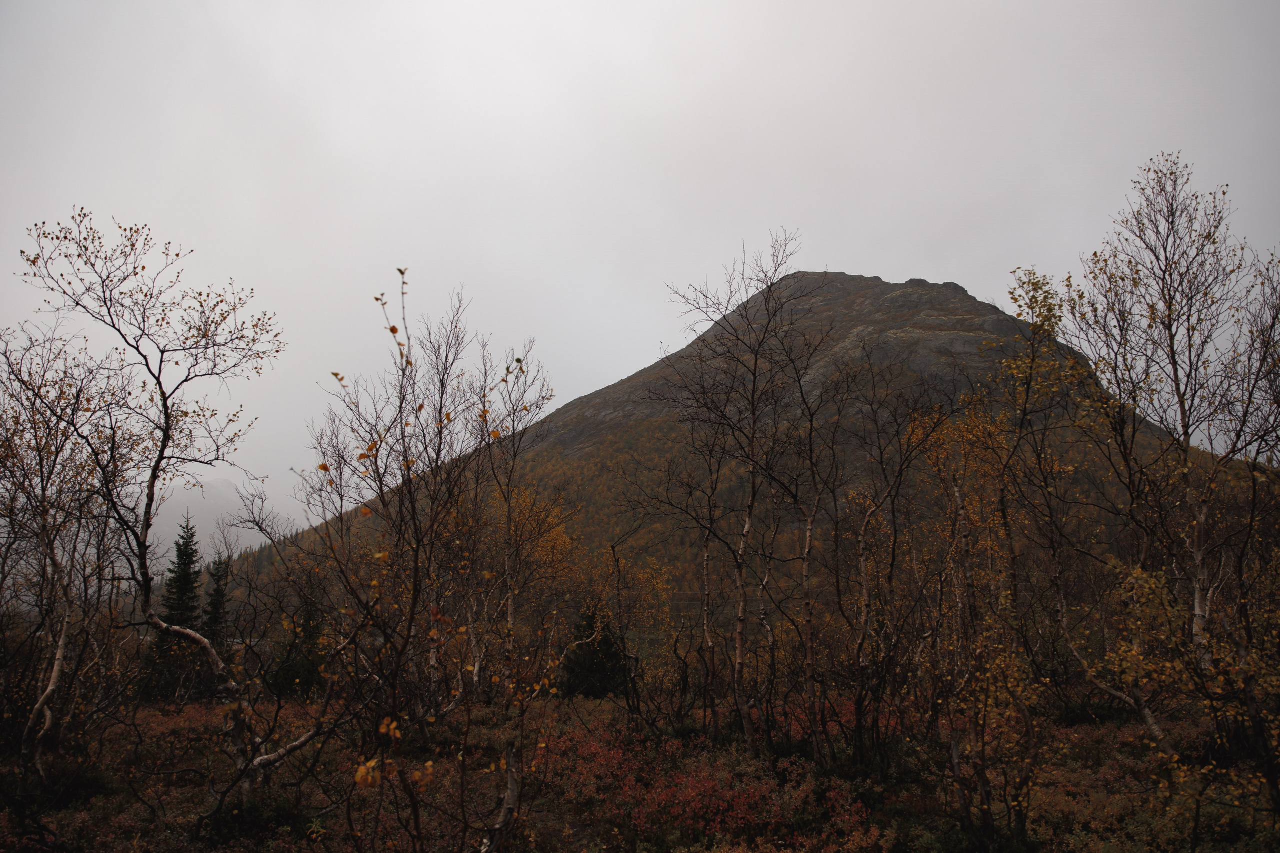 На севере — любить!. Wedding photographer in St. Petersburg, Europe and Israel Anna Agafon