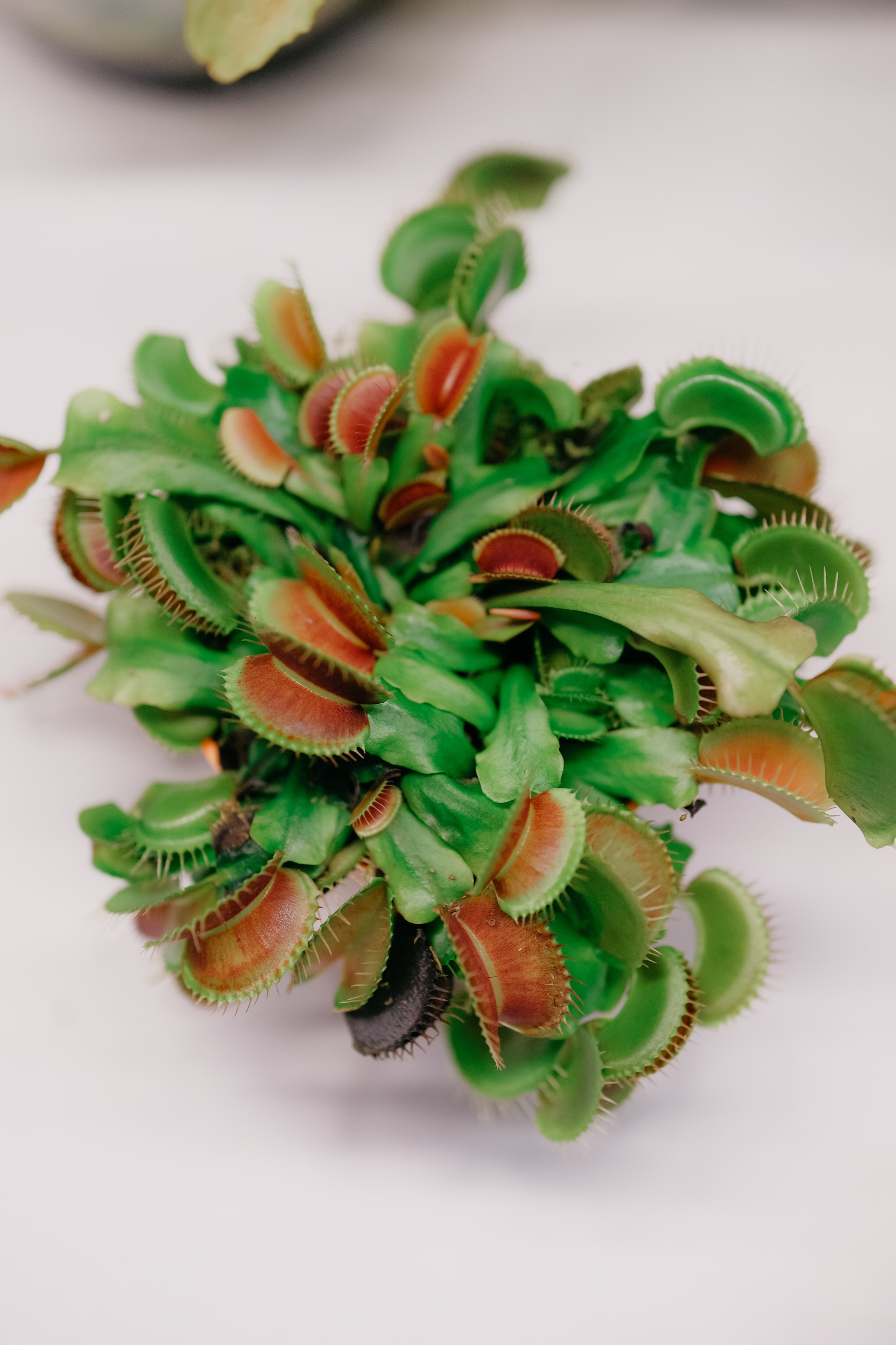 ВНауке. Фотограф в Москве Дмитрий Рогов