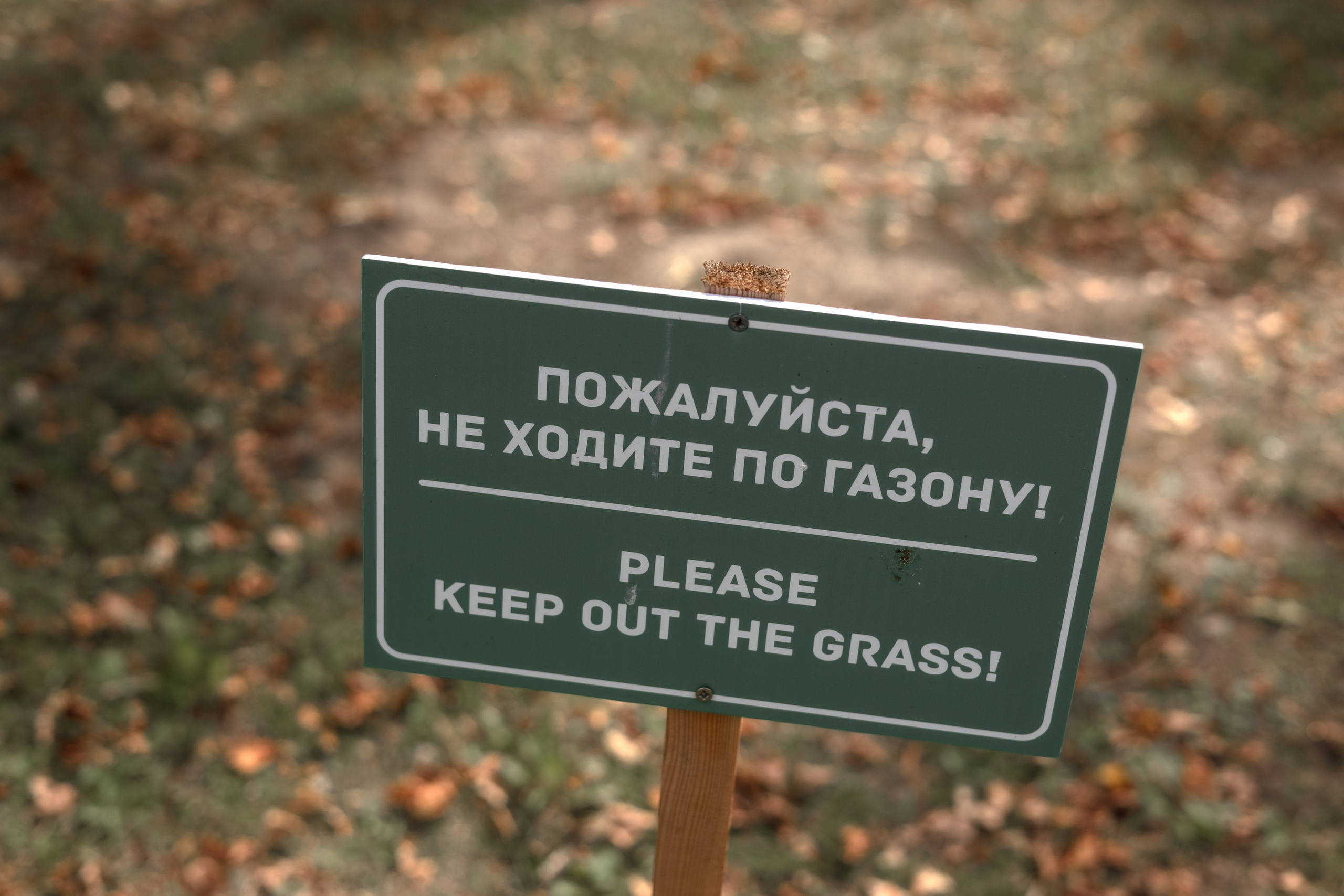 Алексей & Анастасия. Семейный фотограф Вита Лифанова Брянск LifeStyle