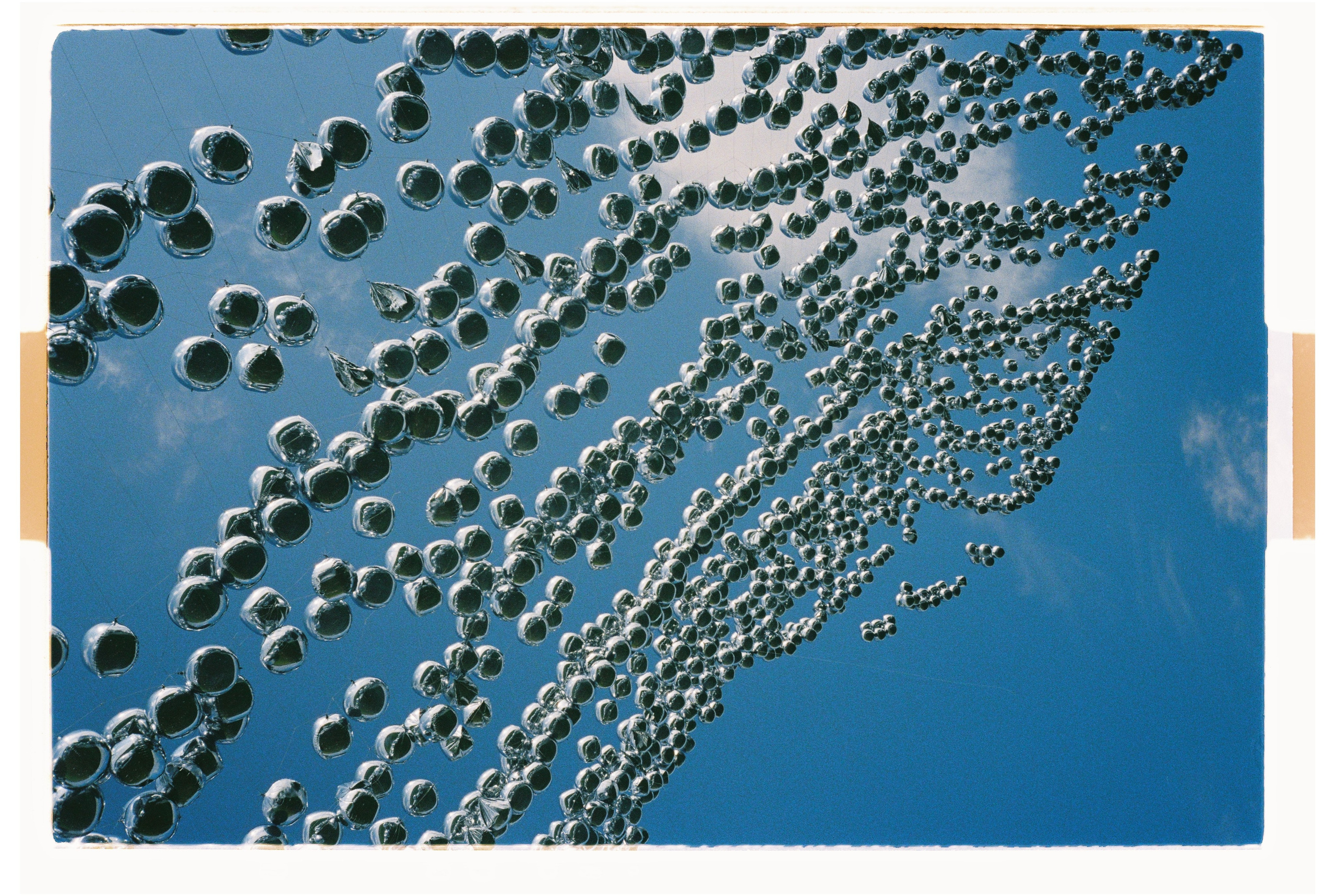 Signal 2024. @tomrus: Рустам Шагиморданов — фотограф