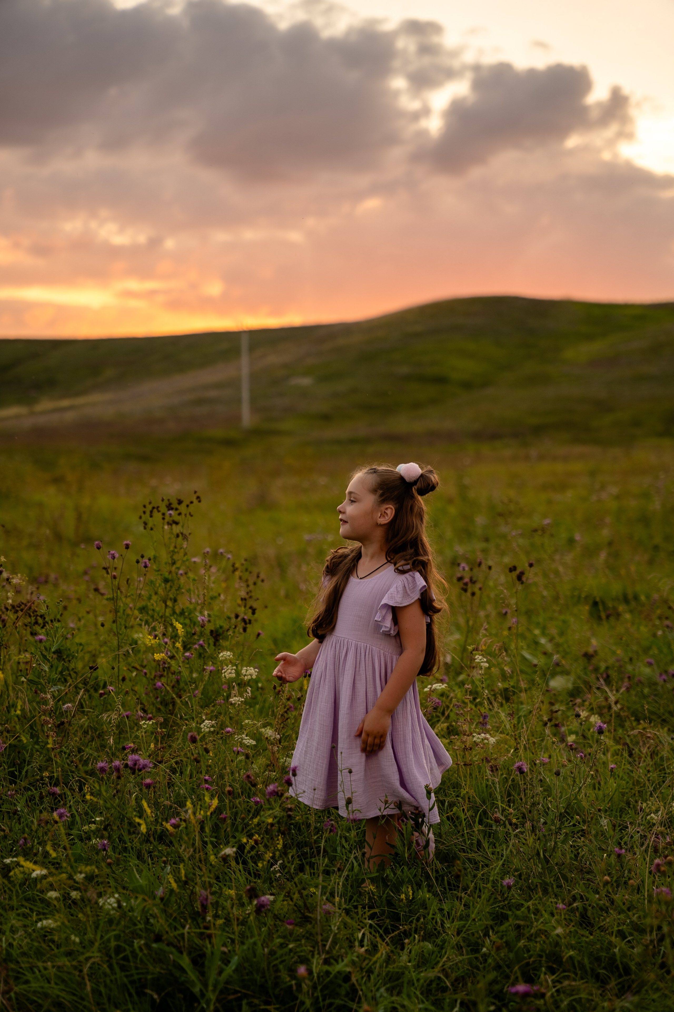 Семейный закат. Фотограф в Ульяновске Александра Григоровских