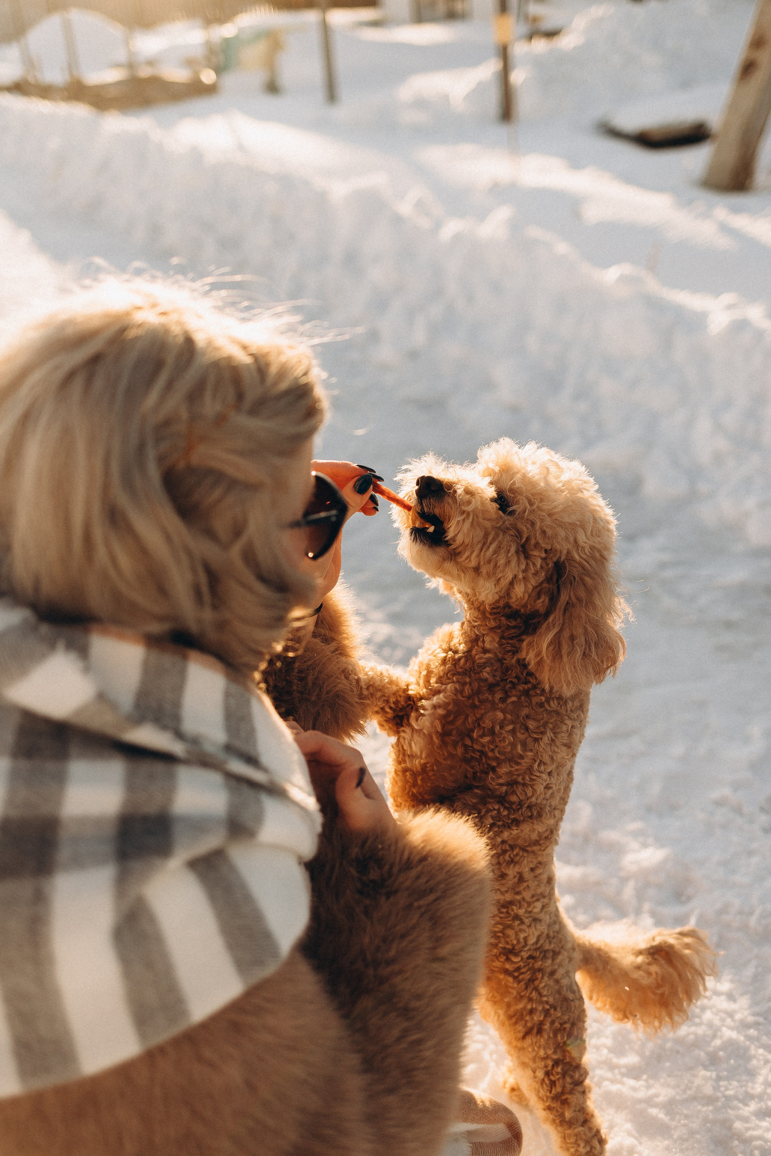 Юлия/Максим/Денис/Мирон/2025. Свадебный и семейный фотограф в Екатеринбурге