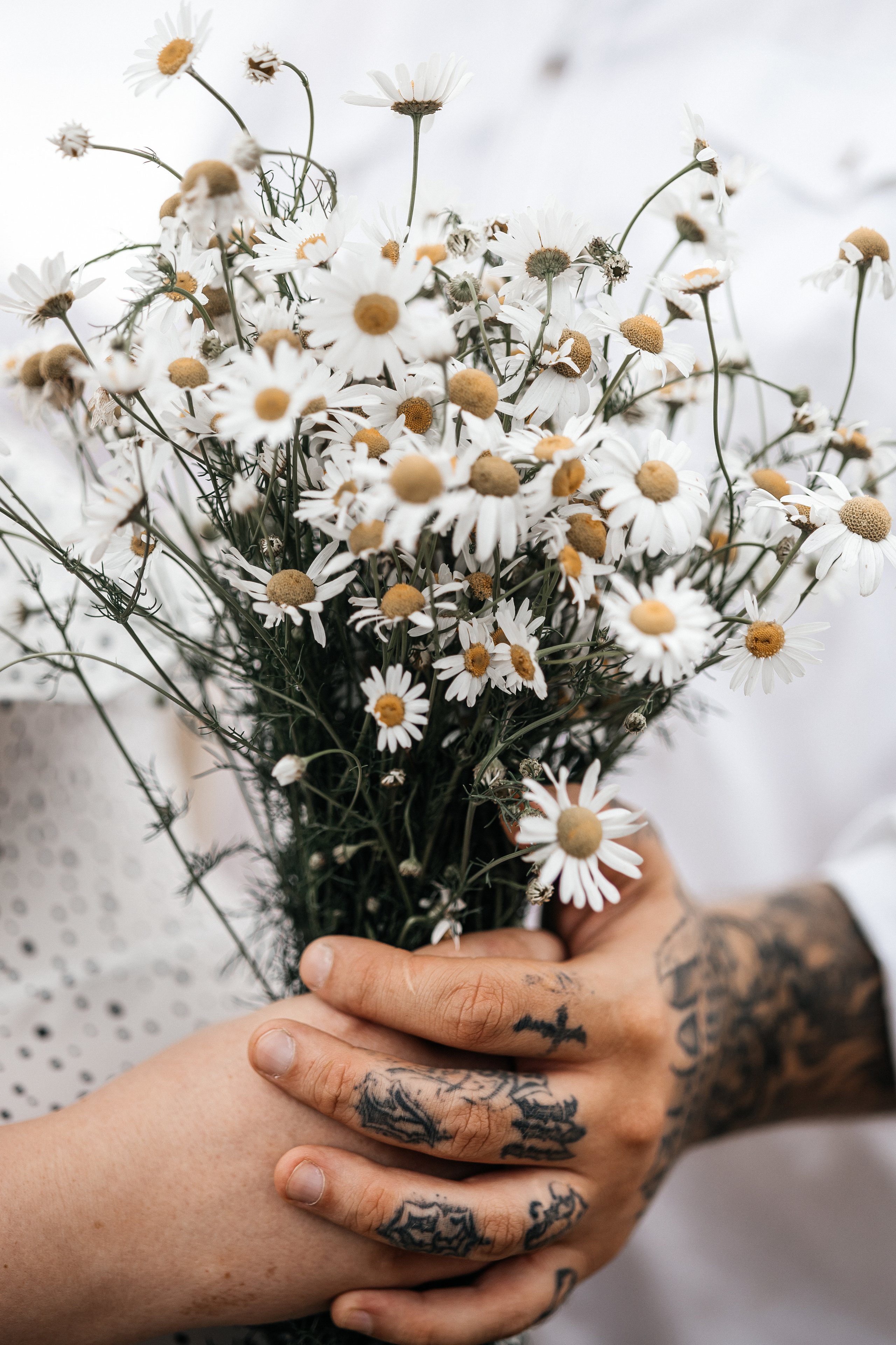 «В Ожидании». Фотограф г. Тамбов г. Воронеж Богдан Тарасов