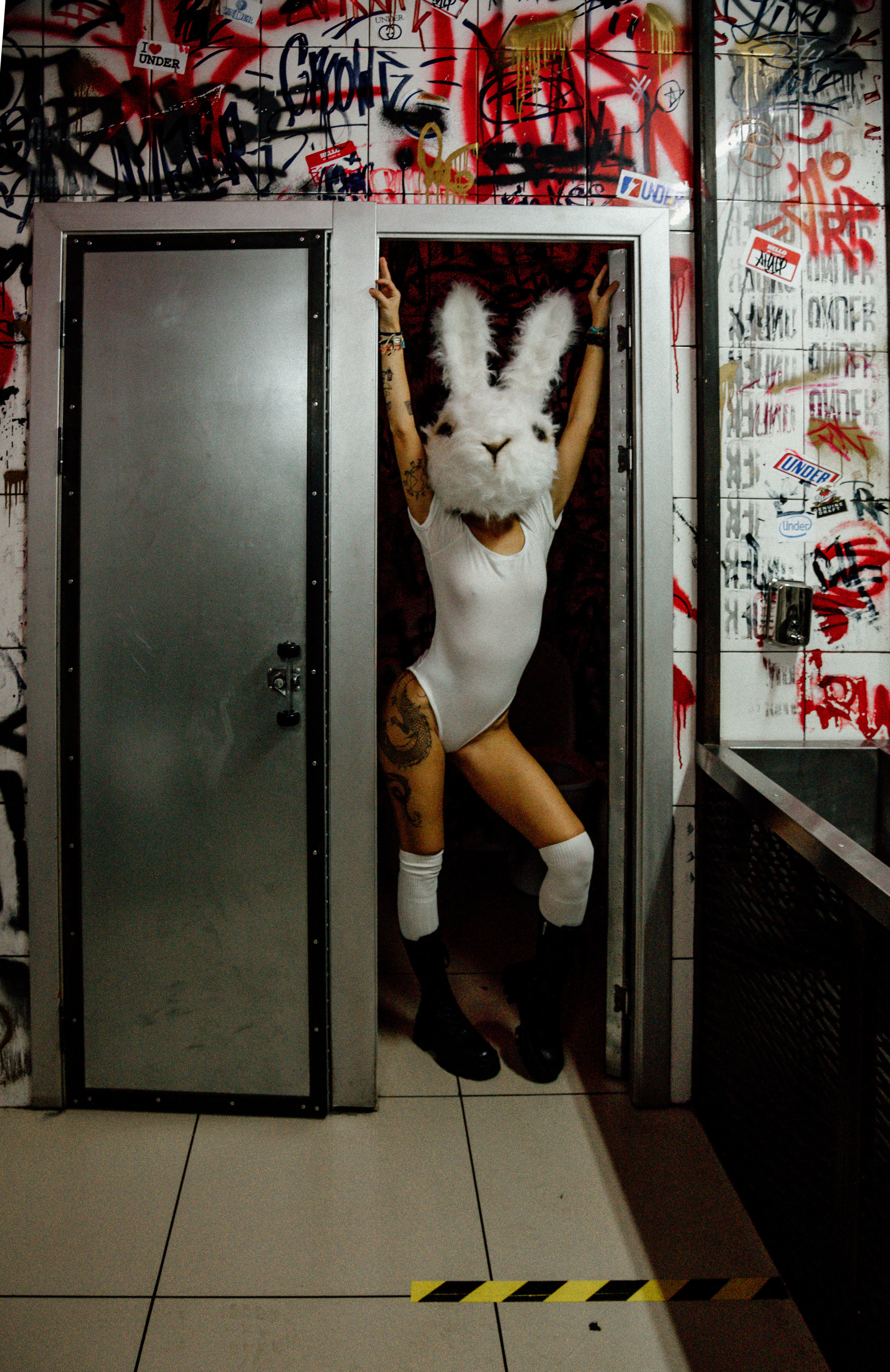 Заяц. Фотограф Алёна Евграфова