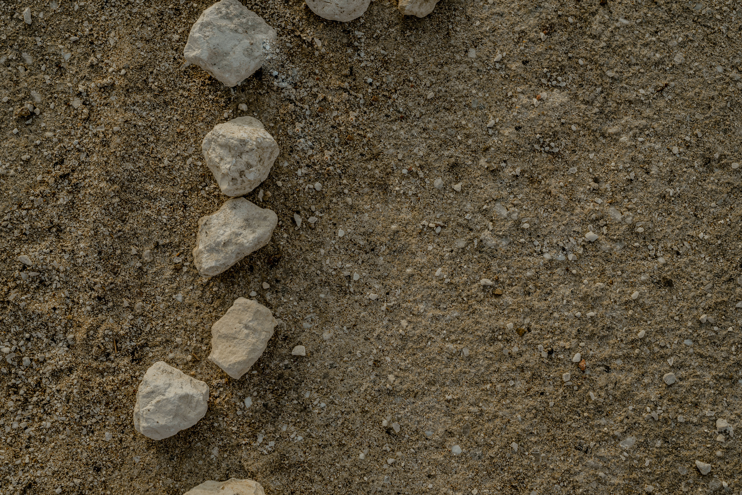 Вероника. Фотограф Алёна Евграфова