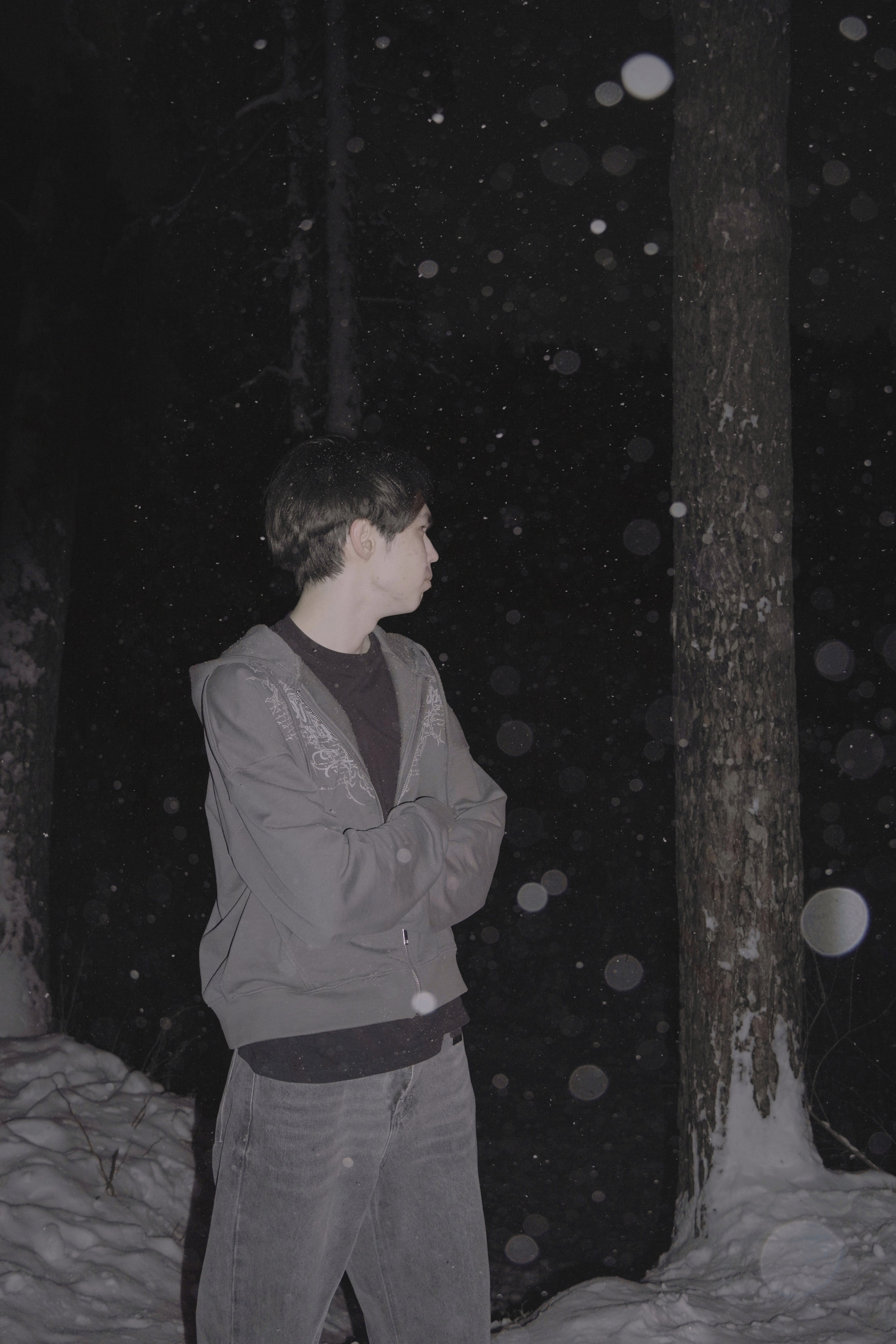 ЗАСНЕЖЕННЫЙ ЛЕС. Художественный фотограф в Тюмени Валерия Шульман