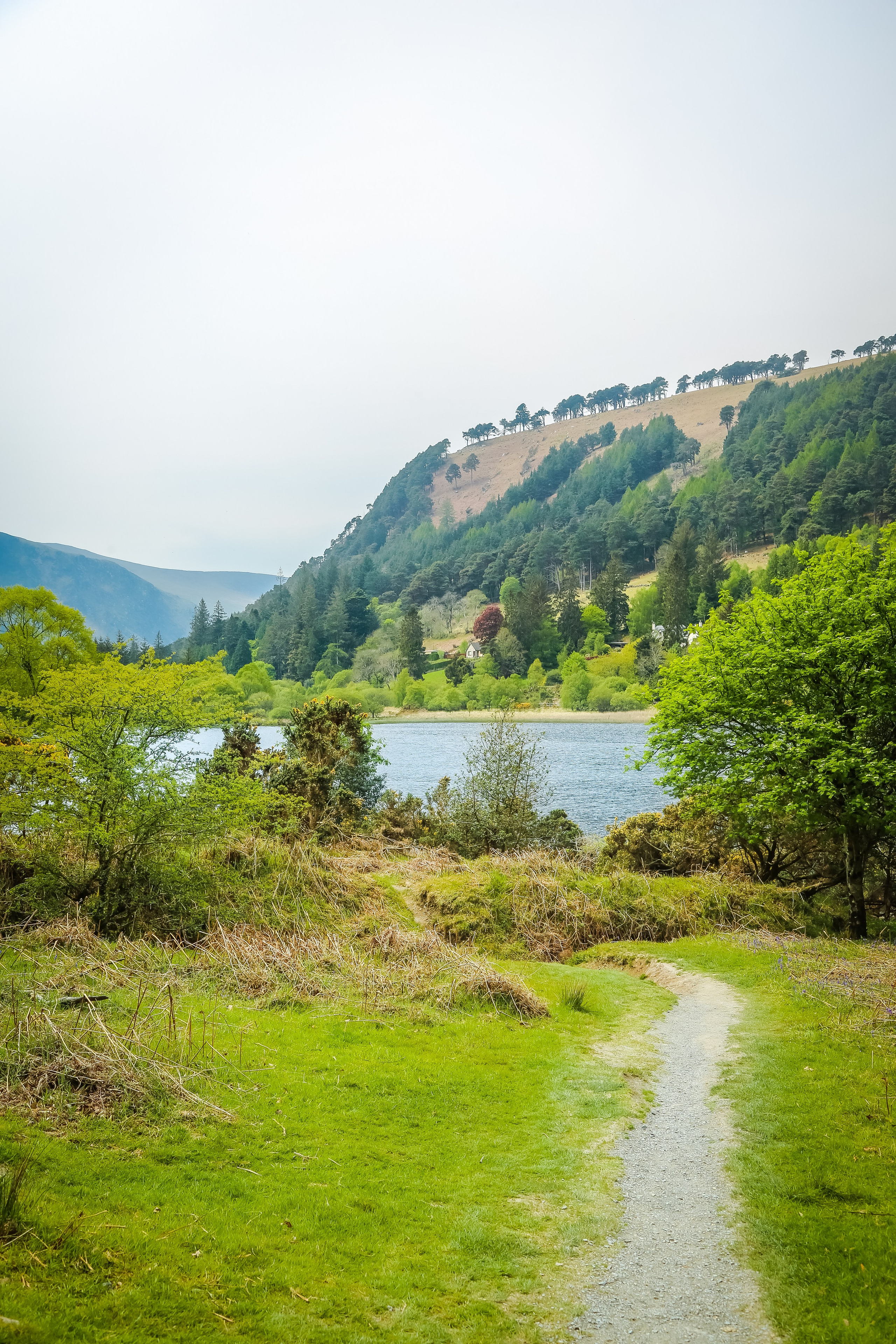 Ирландия: Горы Уиклоу. Дарья Письменюк / Darya Leitstern — фотограф, музыкант, журналист, путешественник