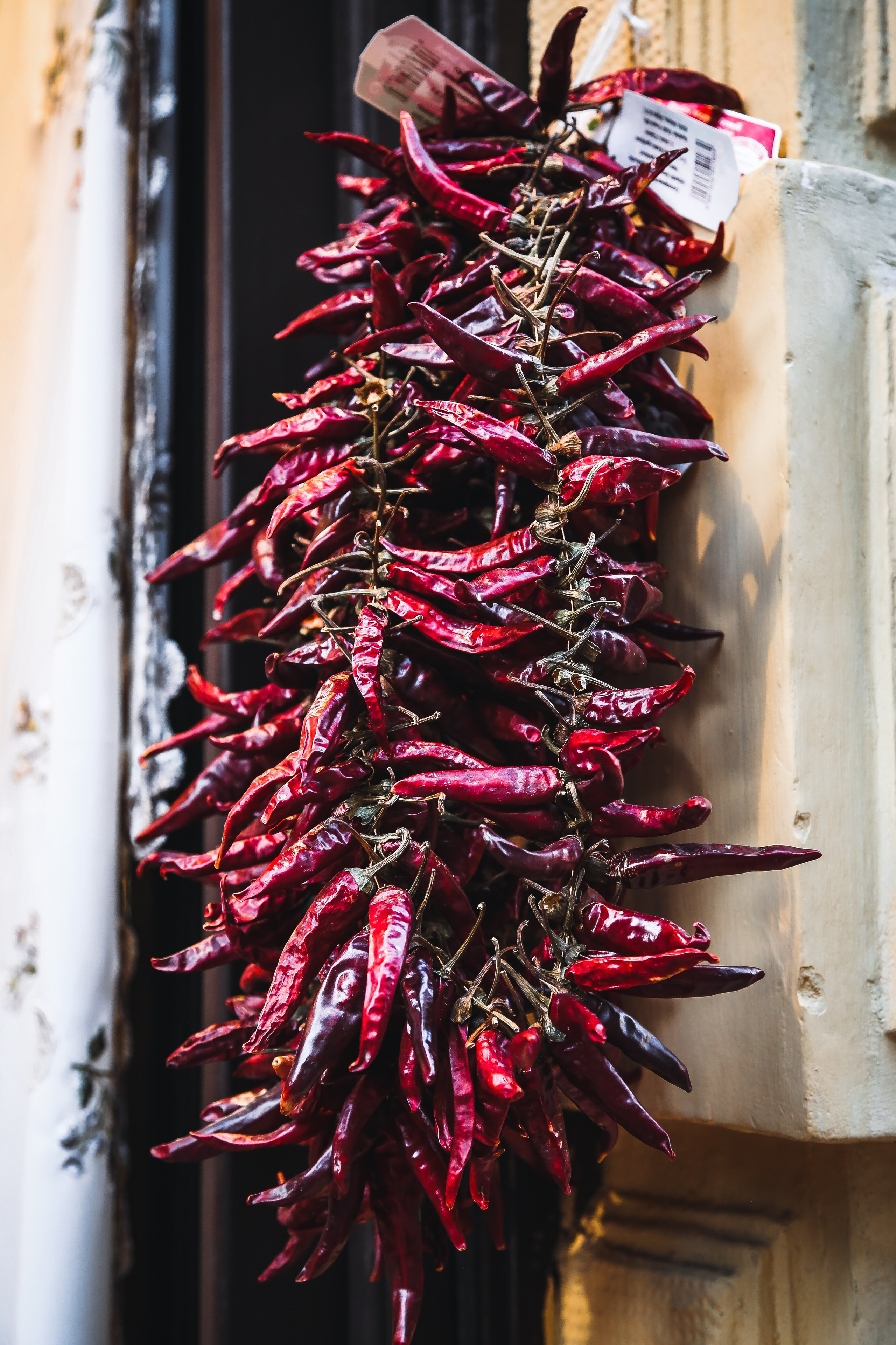 Венгрия: Будапешт. Дарья Письменюк / Darya Leitstern — фотограф, музыкант, журналист, путешественник