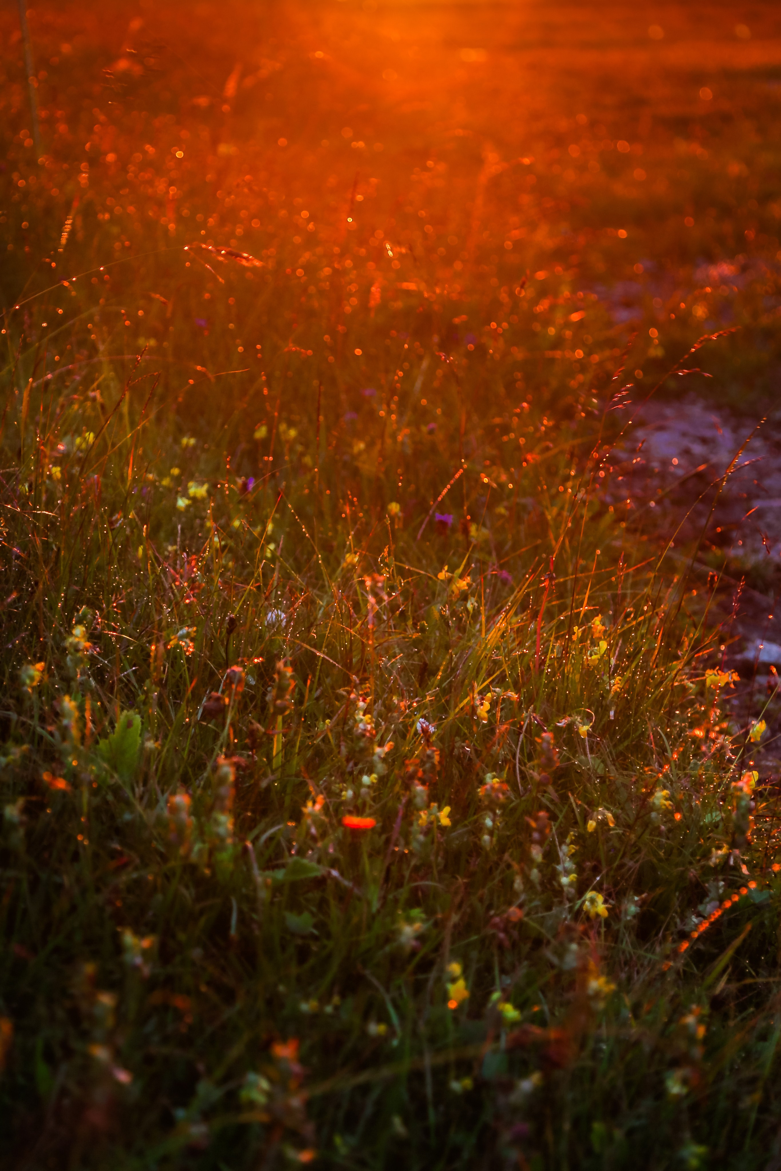 Кавказ: Беспощадный Бермамыт. Дарья Письменюк / Darya Leitstern — фотограф, музыкант, журналист, путешественник