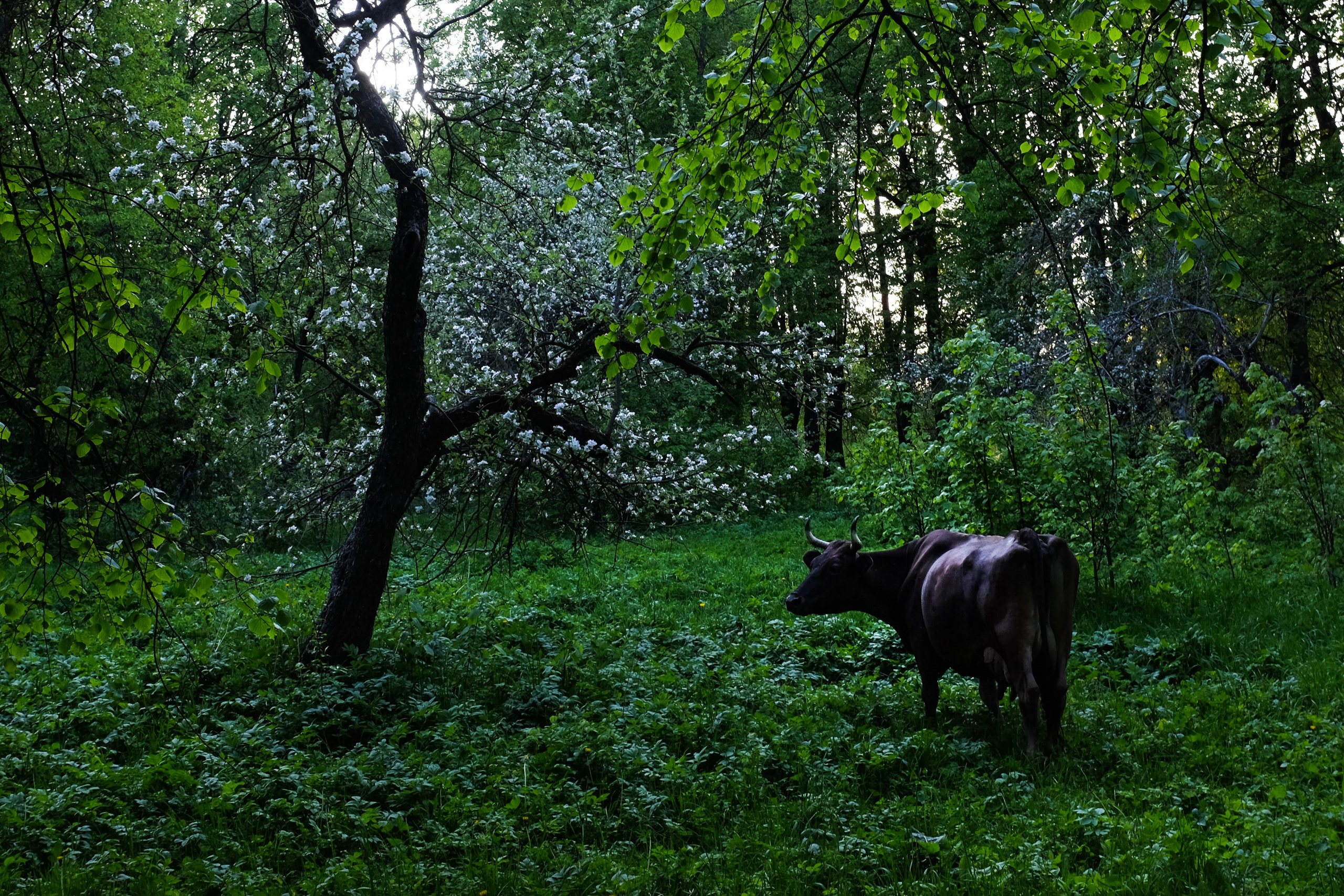 Singles 2. Alyona Kochetkova | Photographer and photography educator