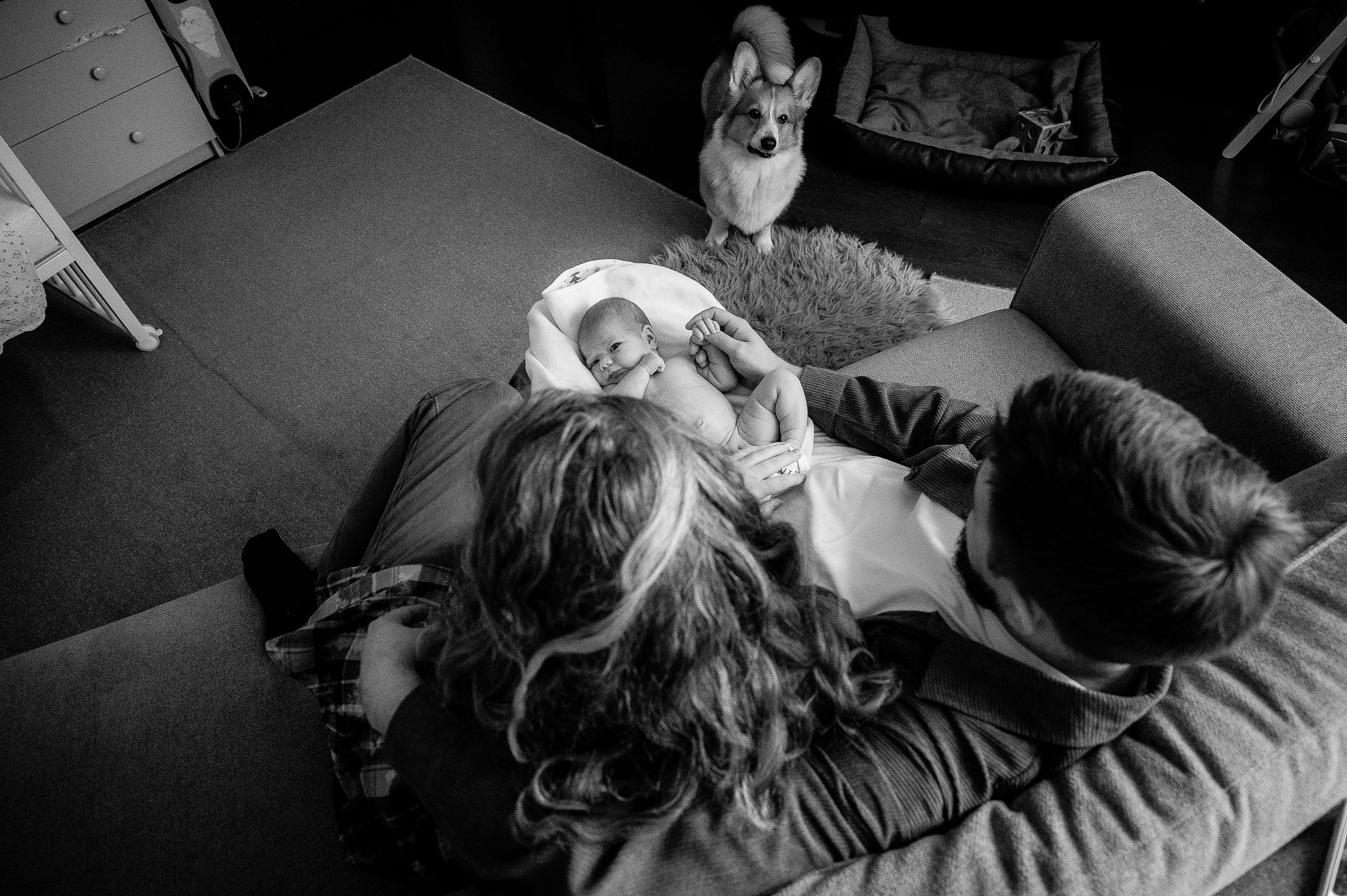 Лизавета, Никита и Мирослава. Фотограф беременности и семьи, домашние съемки, Ньюборн