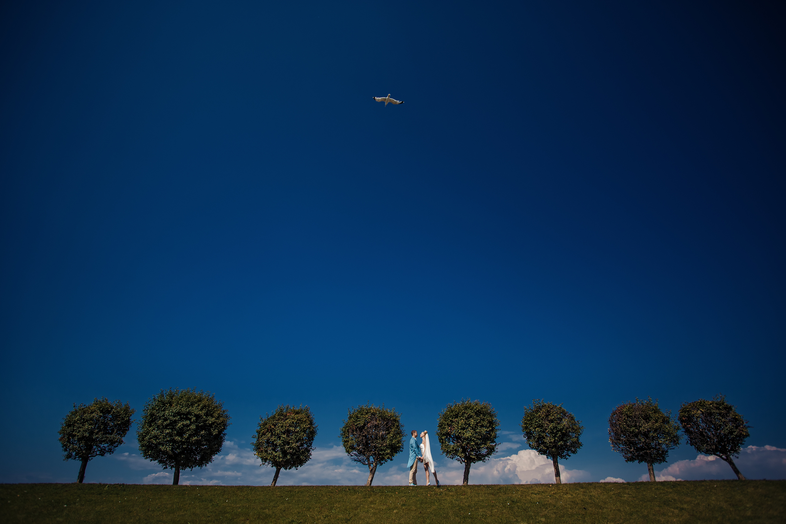 Свадебный и семейный фотограф Алексей Аверин. Свадебный и семейный фотограф Алексей Аверин