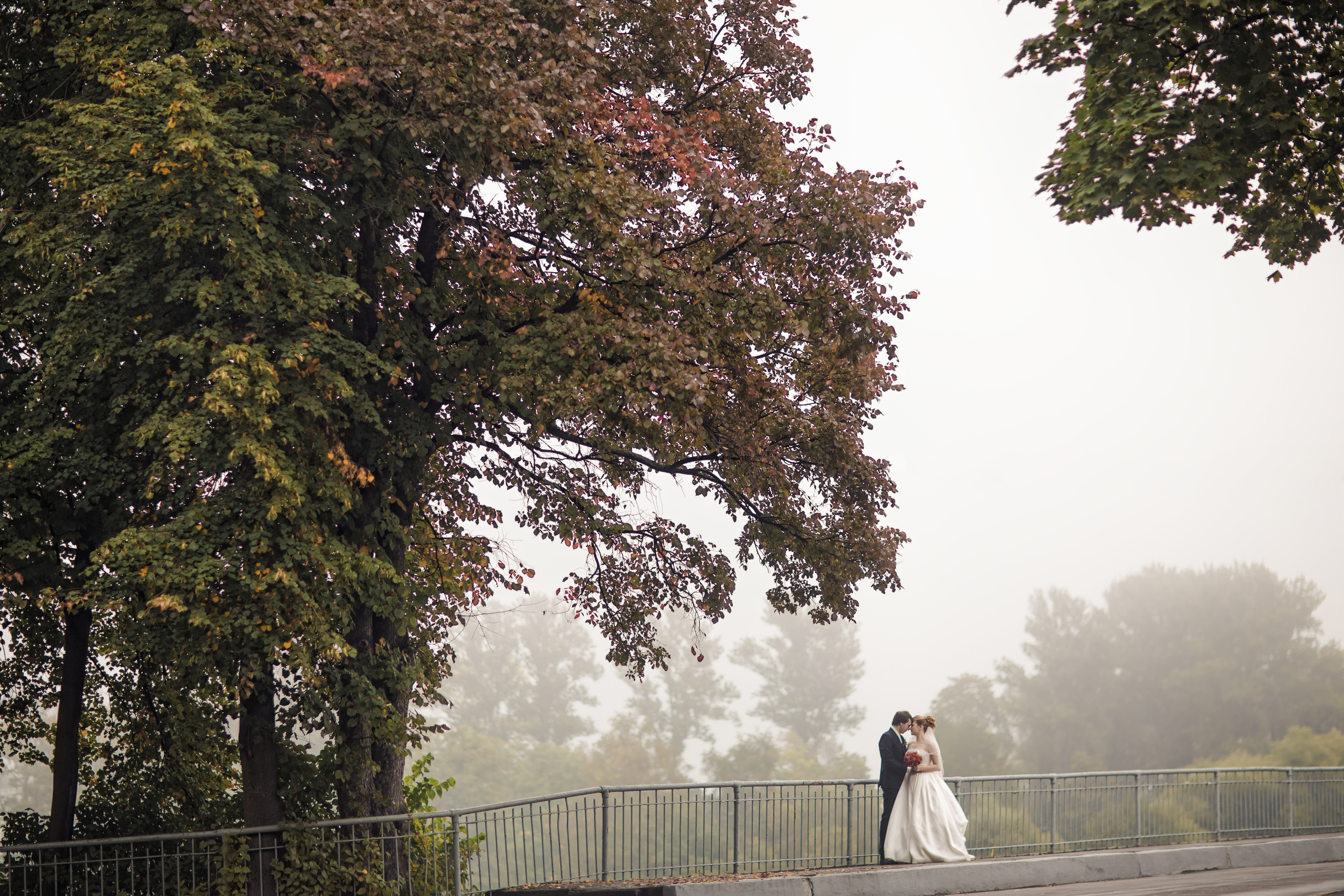 Свадебный и семейный фотограф Алексей Аверин. Свадебный и семейный фотограф Алексей Аверин