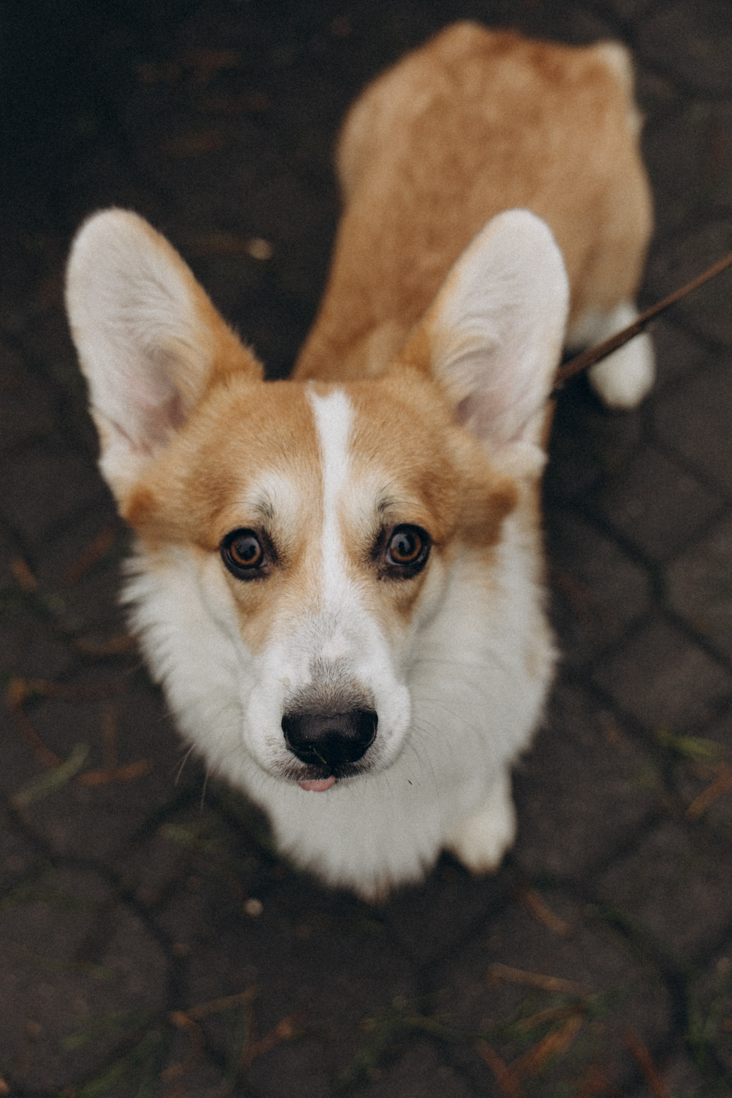 Николь и Богдан