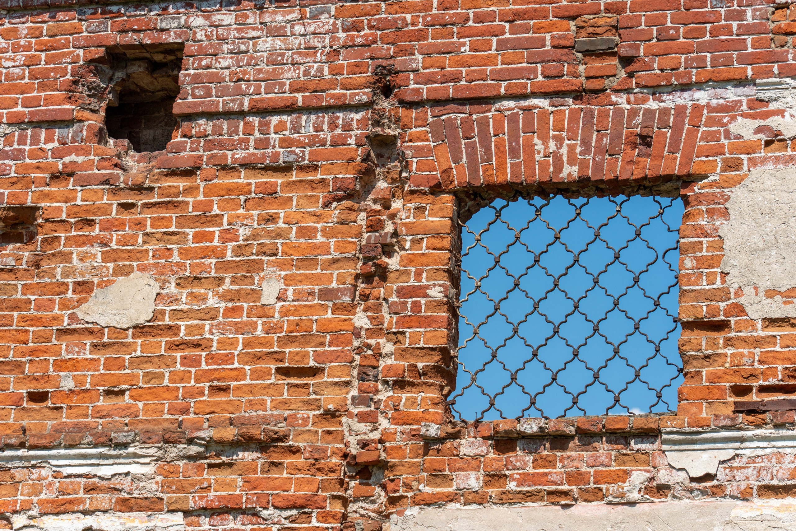 20250729-30 Ростов. Дмитрий Ремизов. Фотография, как хобби