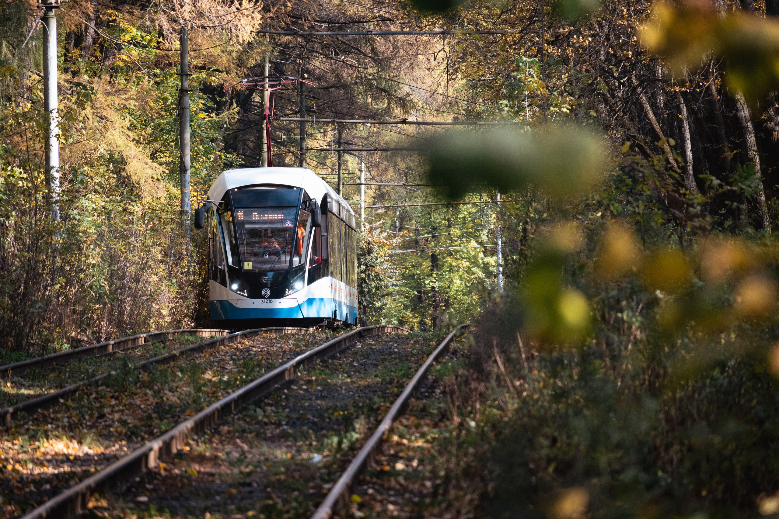 20241012 Измайлово. Дмитрий Ремизов. Фотография, как хобби