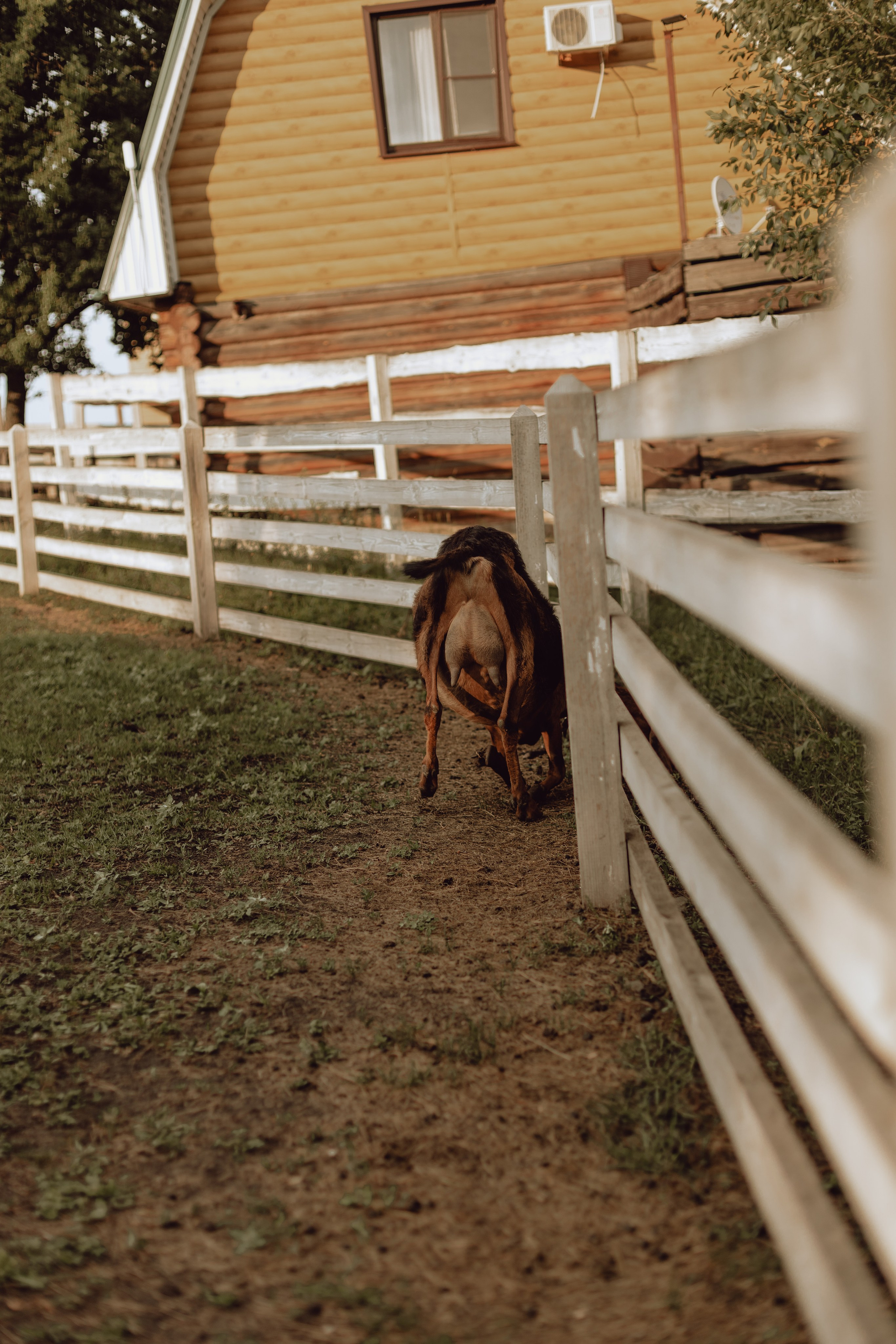 Наташа. Главная