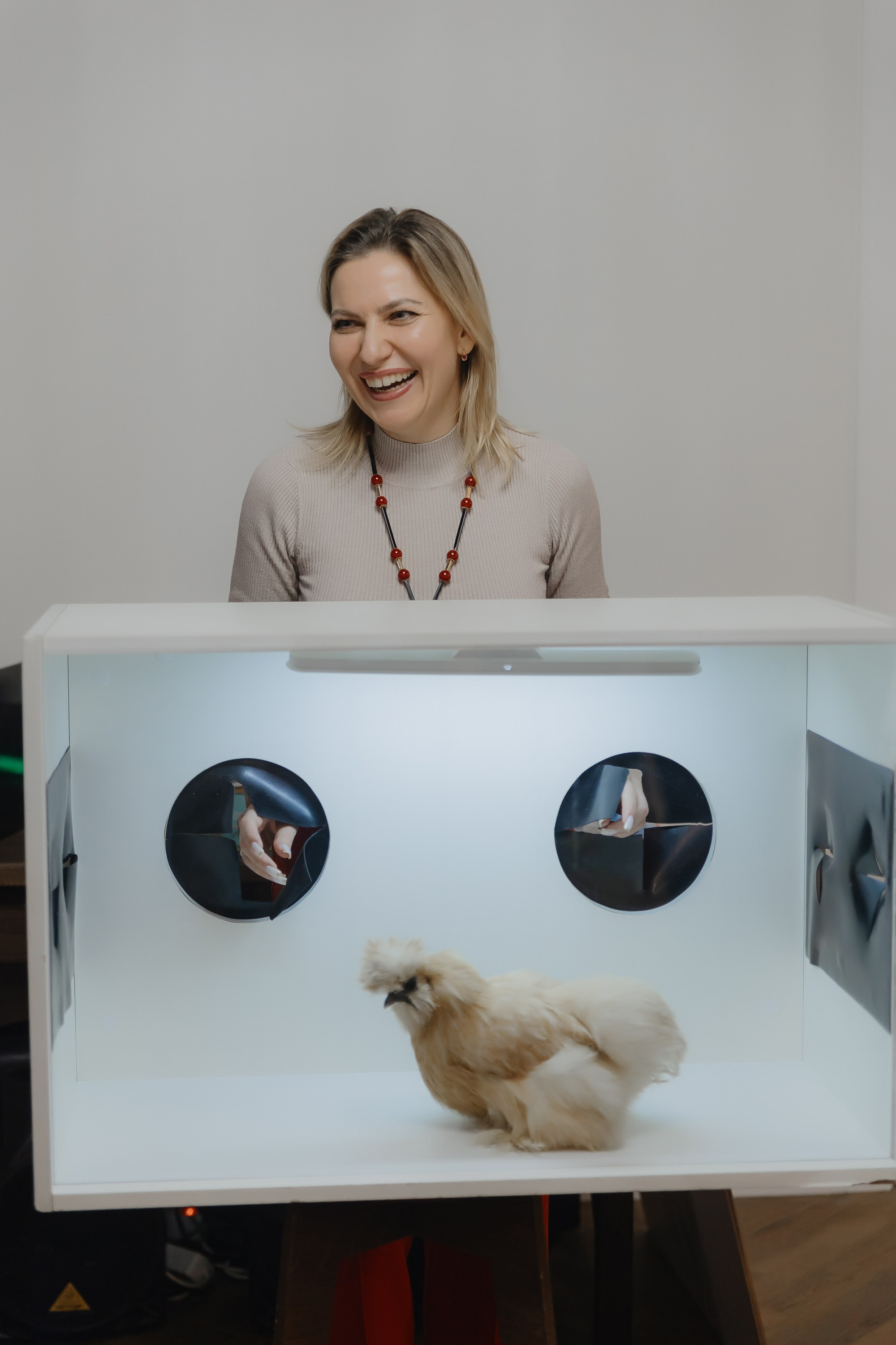 Открытие нового пространства интерьерного салона L. DECO в феврале 2025. L. Deco интерьерный салон. Краски/обои/лепной декор