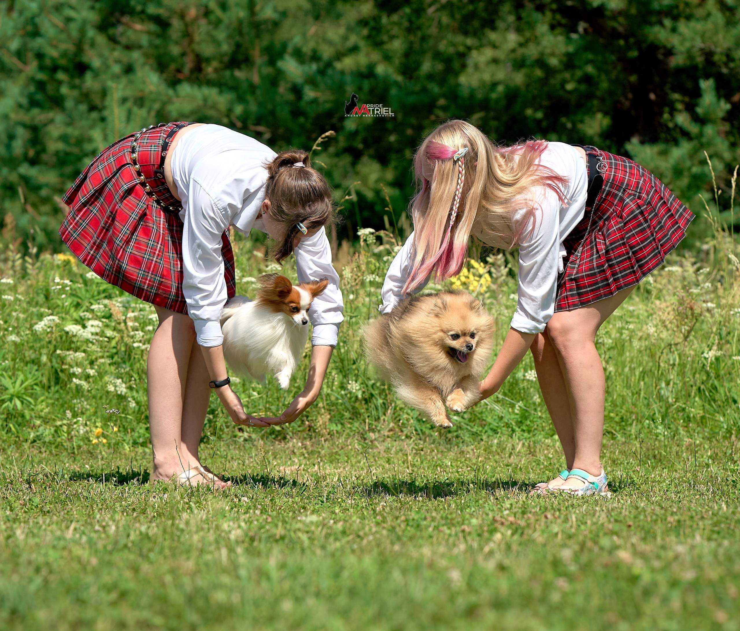 Обидиенс и танцы с собаками — галерея NATRIEL