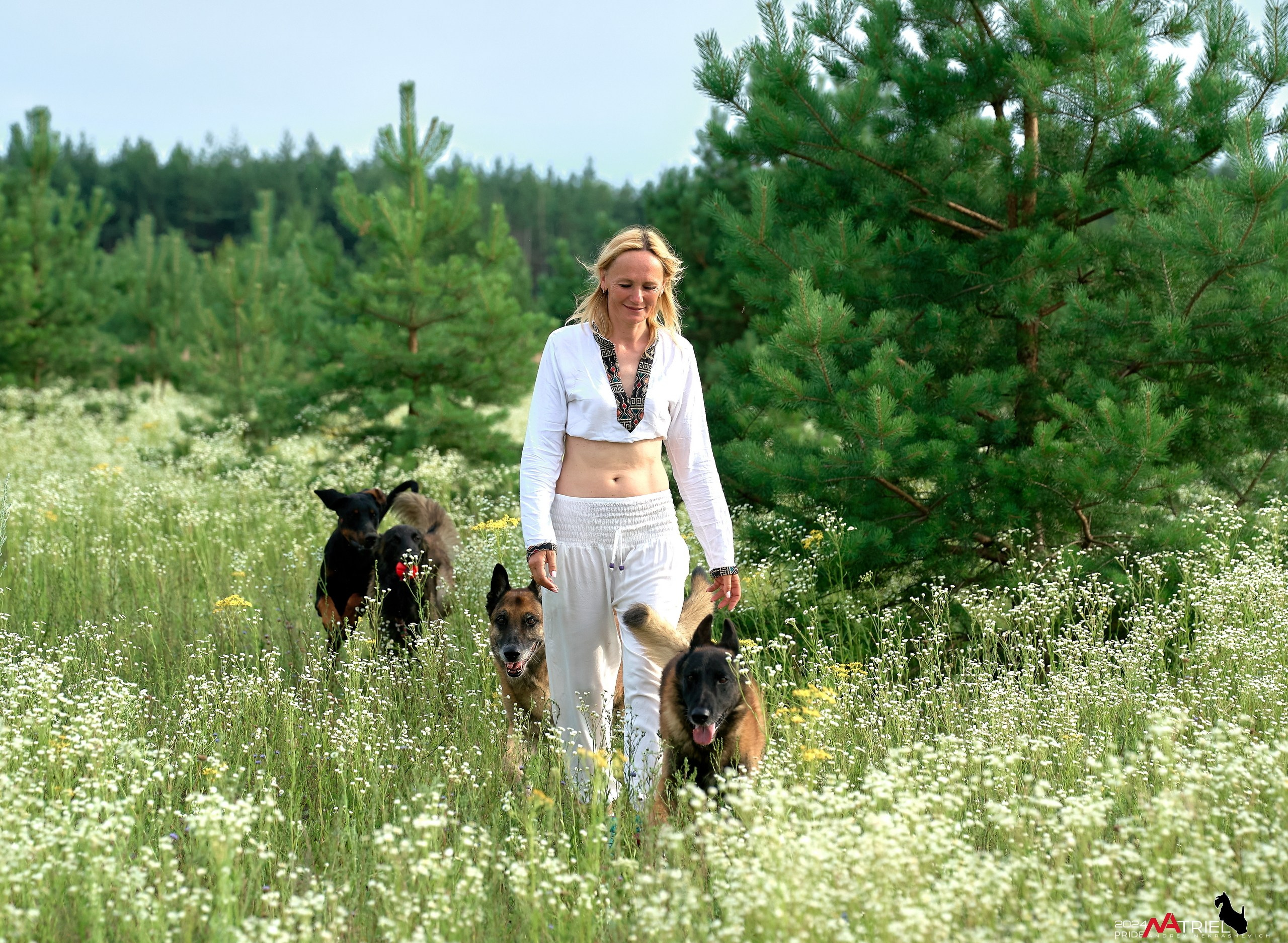 Репортаж из кинологического лагеря