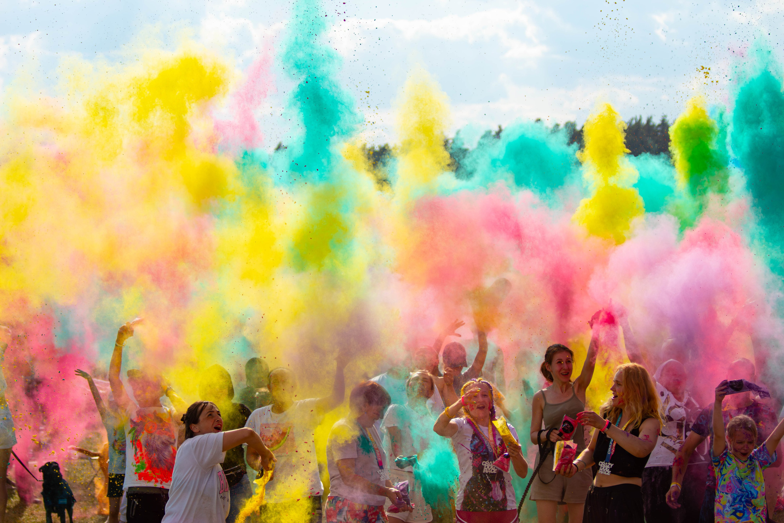 Хвостатый Драйв 2024. Фотограф анималист — Тула, Москва