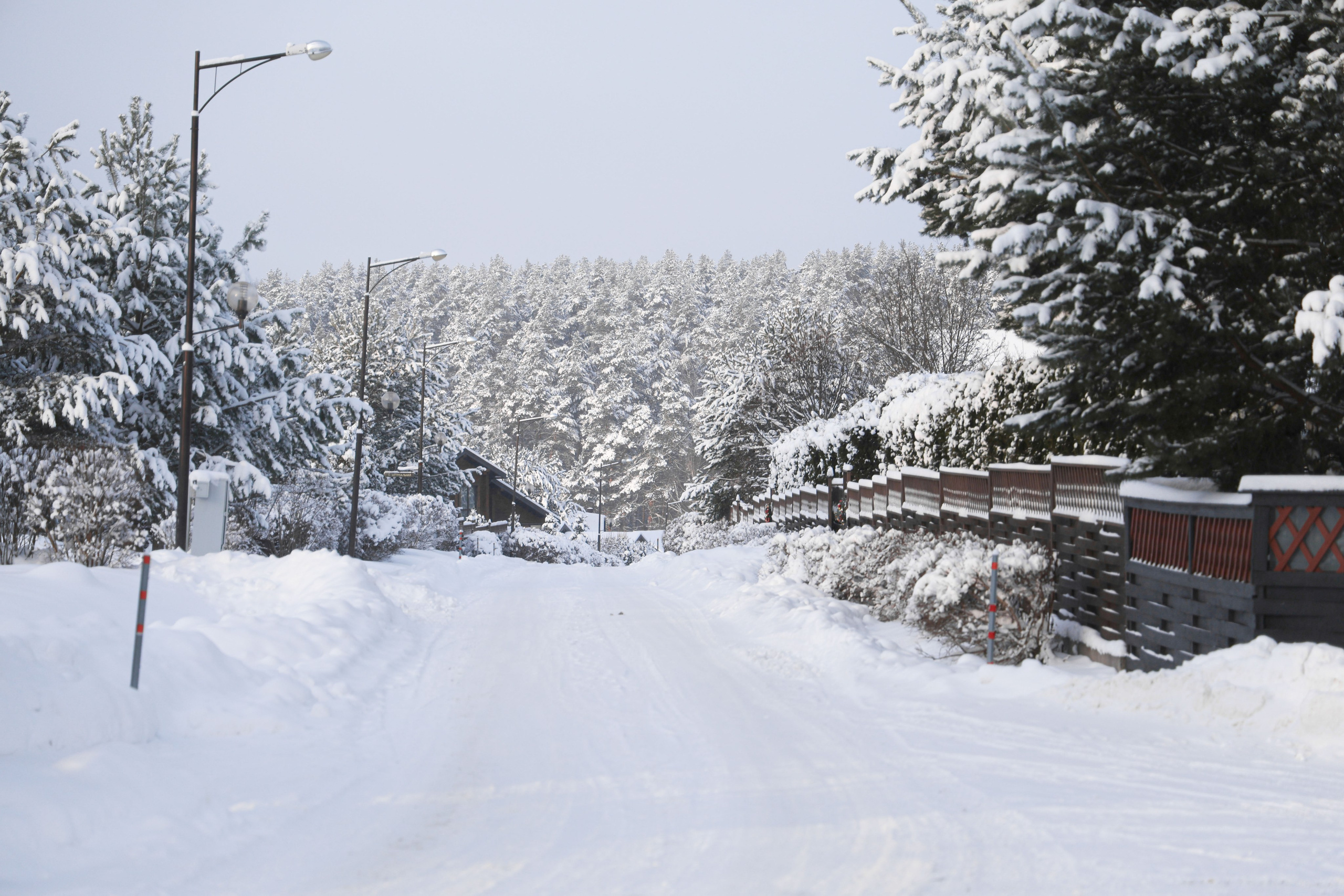 Рождествено Зима 2026. Фотограф Максим Татаринов