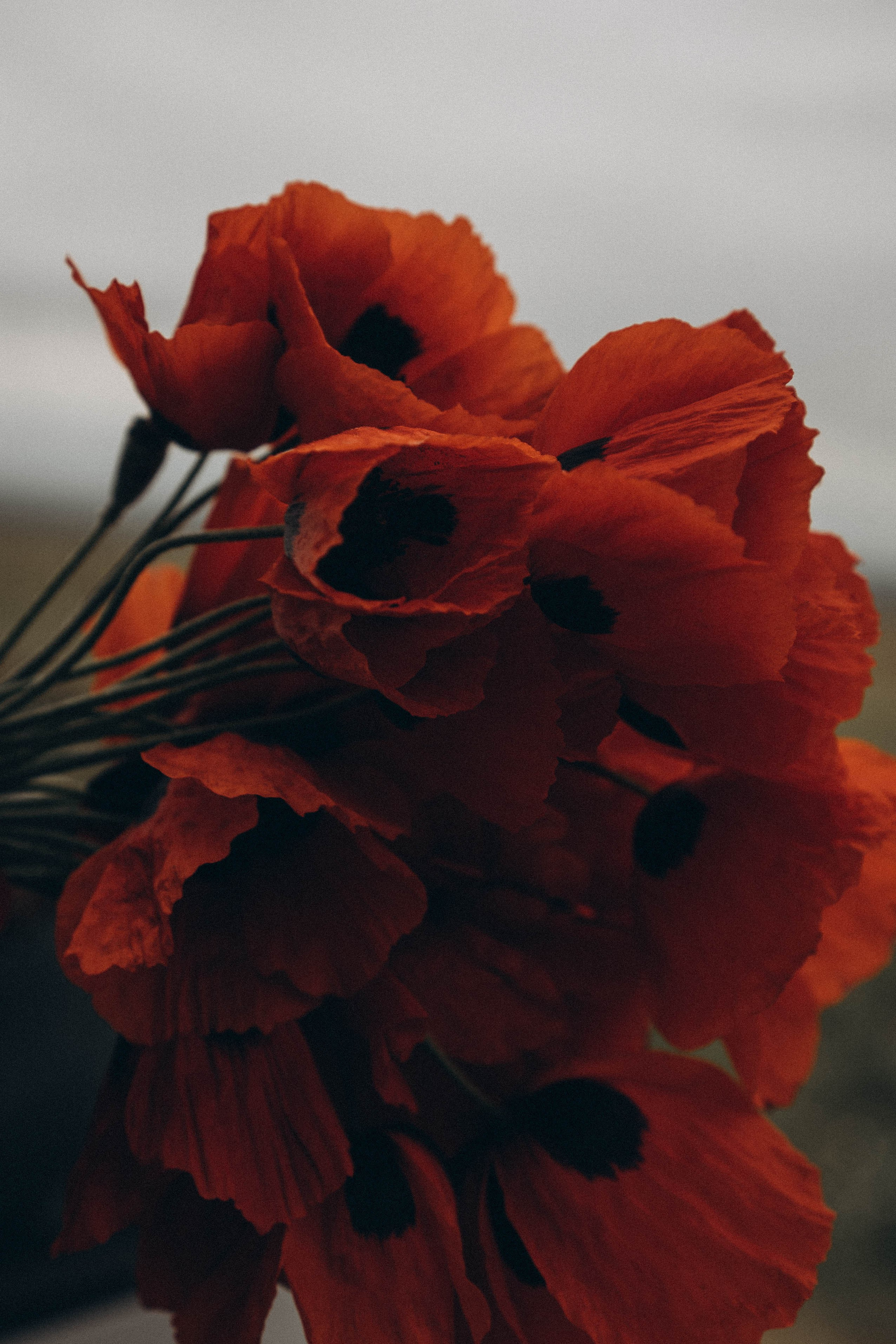 Путешествие в Дагестане. Профессиональный фотограф, Санкт-Петербург — Виктория Богомолова