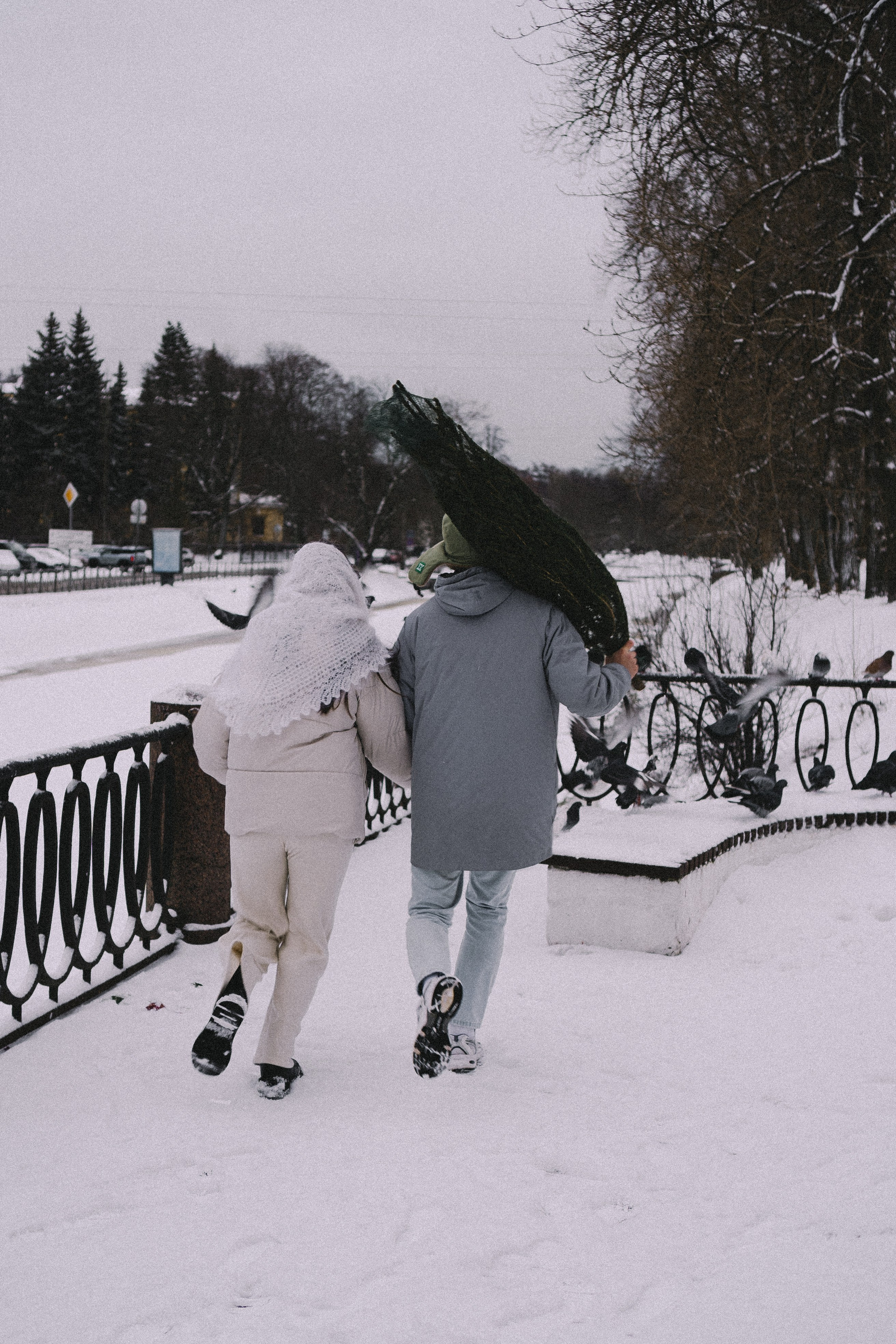 Зимняя история. Профессиональный фотограф, Санкт-Петербург — Виктория Богомолова