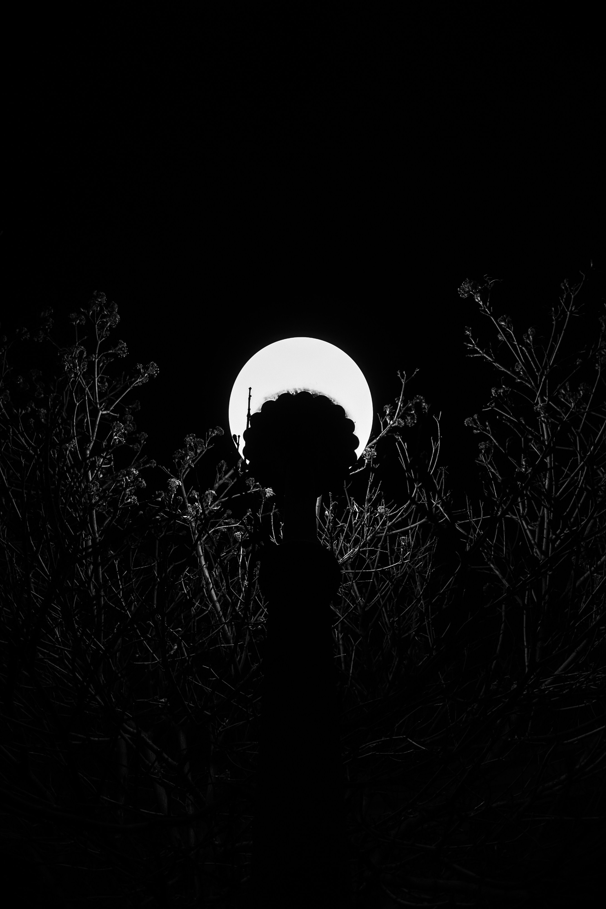 Night Novo. Фотограф в Новороссийске Алёна Сватко