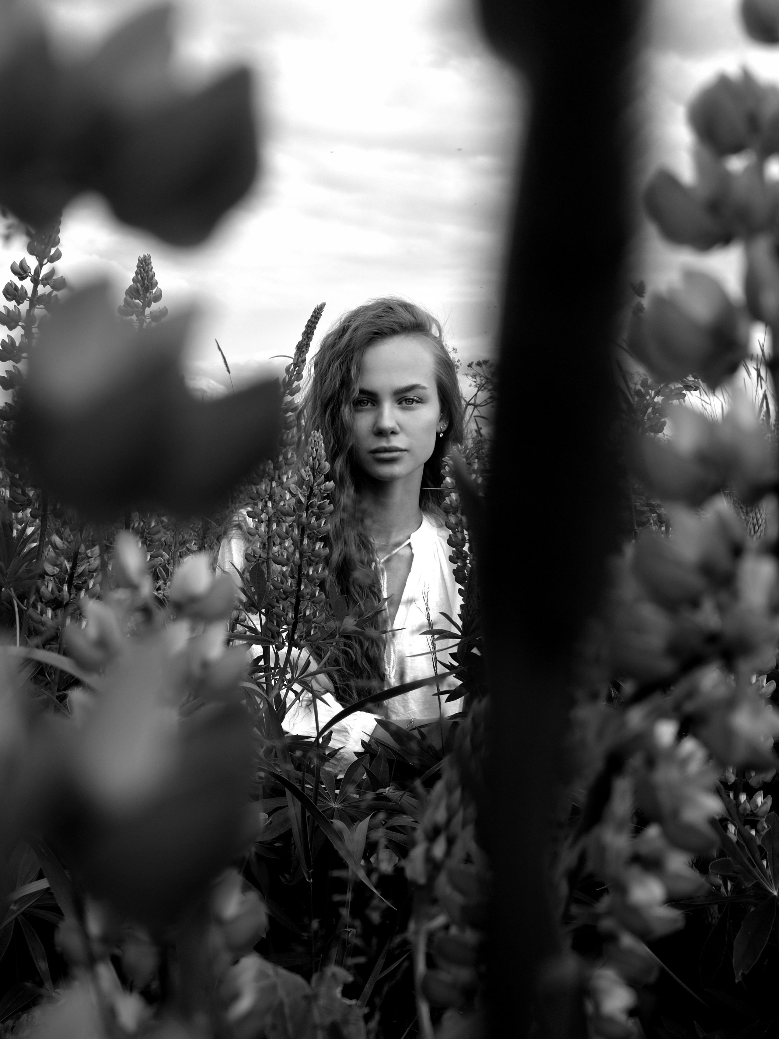 Люпины. Художественный фотограф СПБ, Дубай