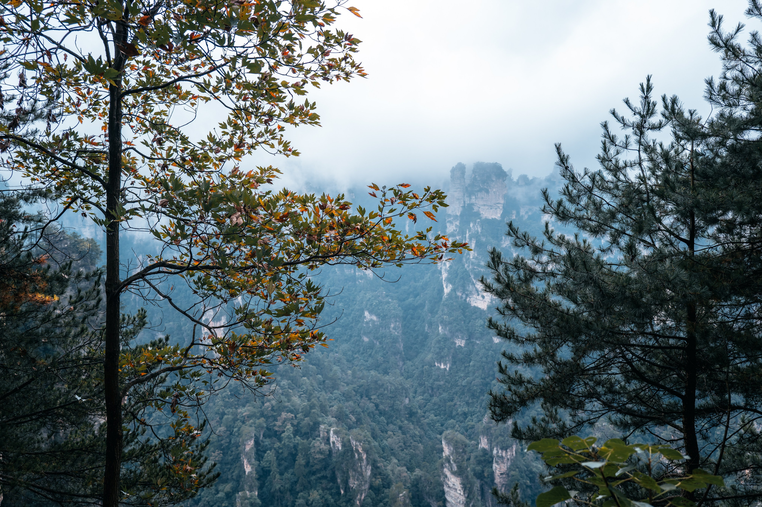 China/Китай. @tomrus: Рустам Шагиморданов — фотограф