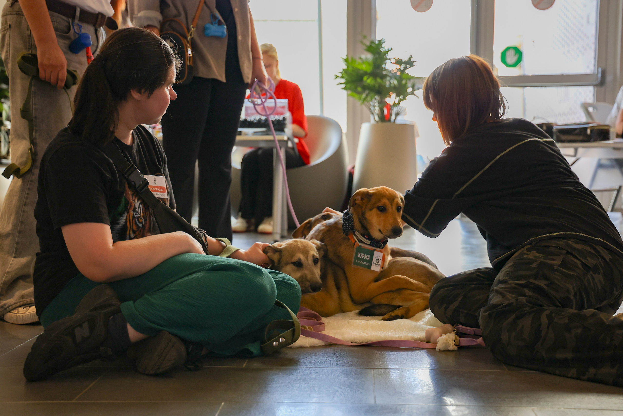 ECO FEST. Фотограф Вадим Бодылев