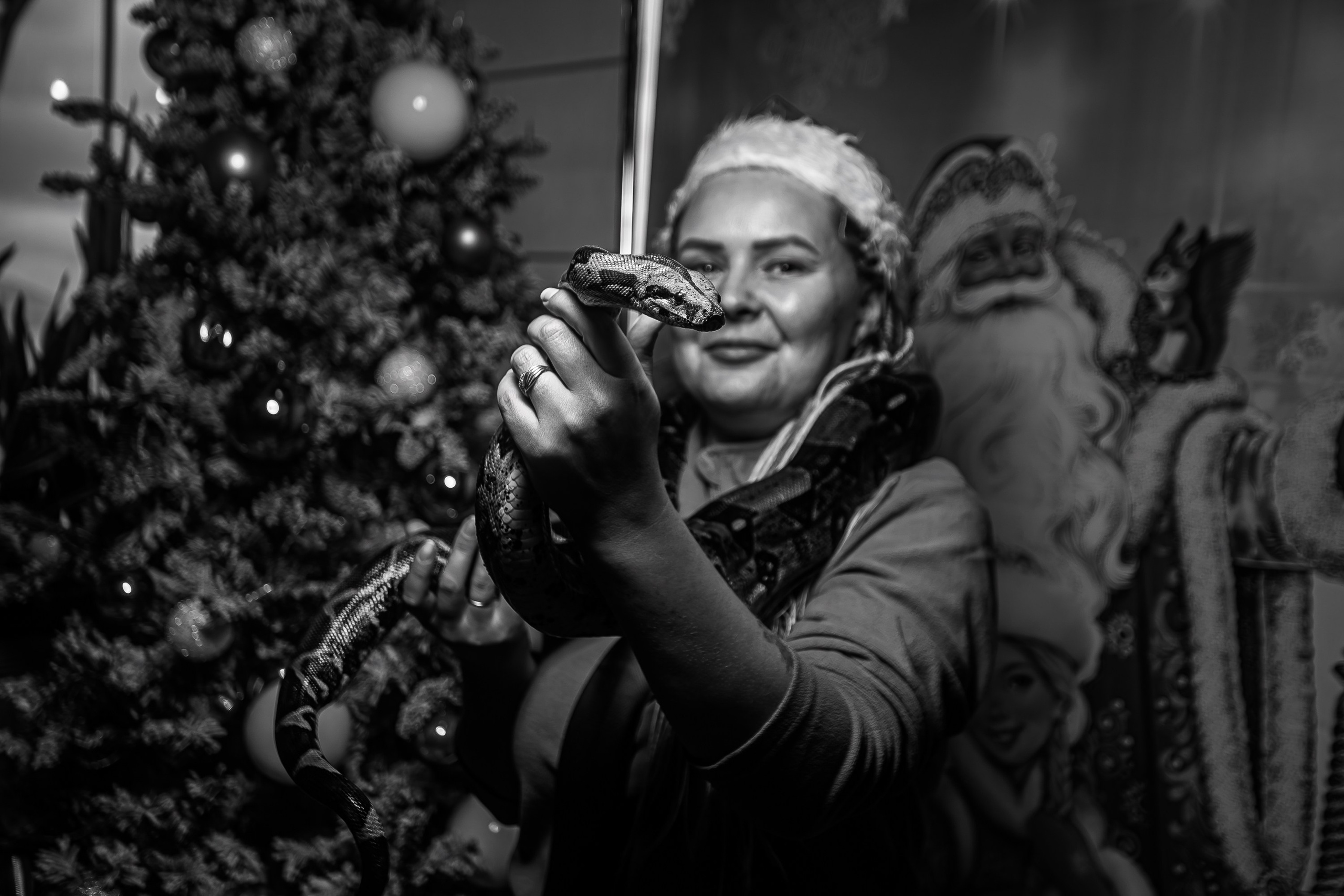 Новый годный АнтиКвиз_Palmira Palace_Ялта_15.12.2024. Аминов Руслан | Фотограф